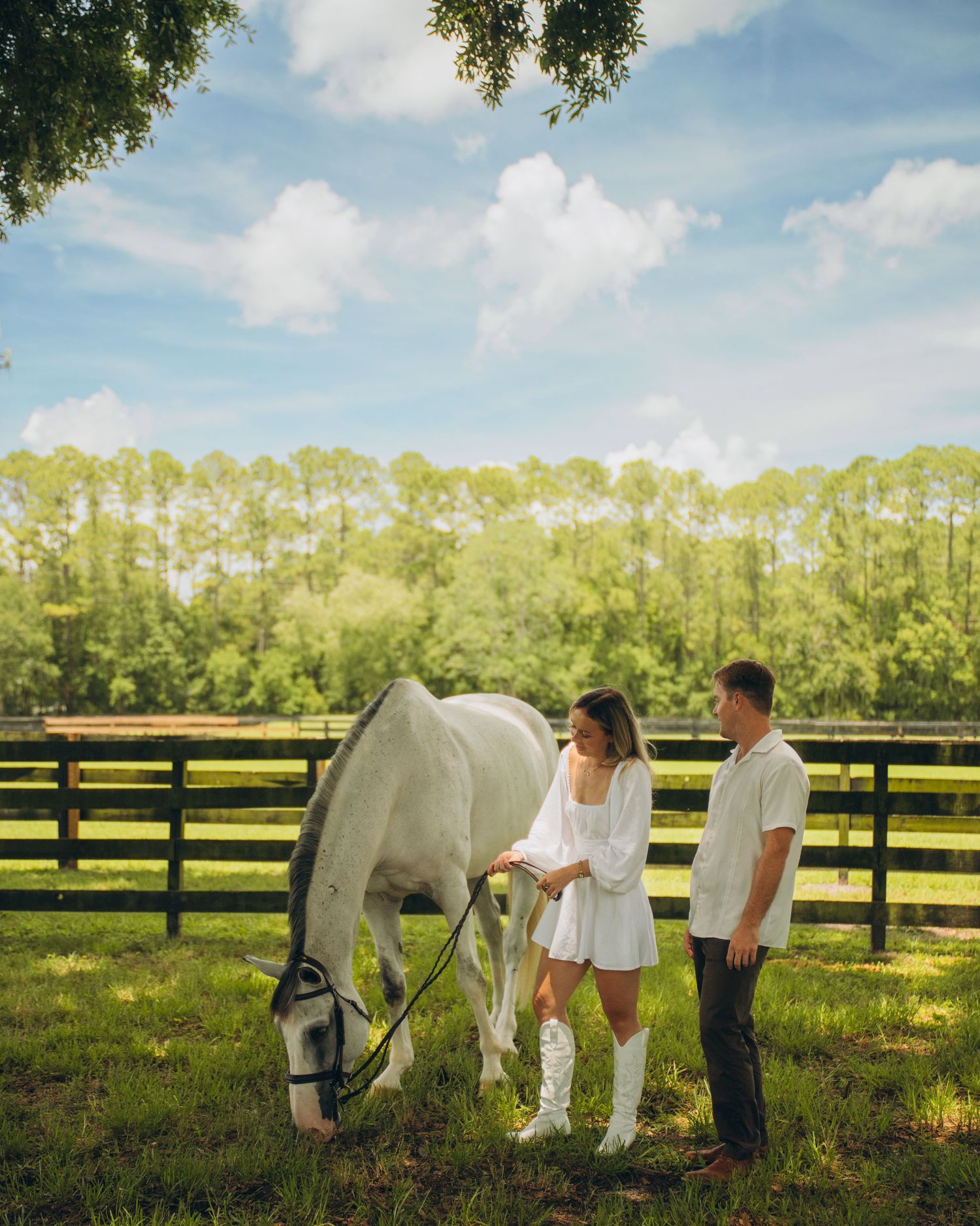 A couple and their white horse enjoy a peaceful moment in a fenced pasture on a sunny day.