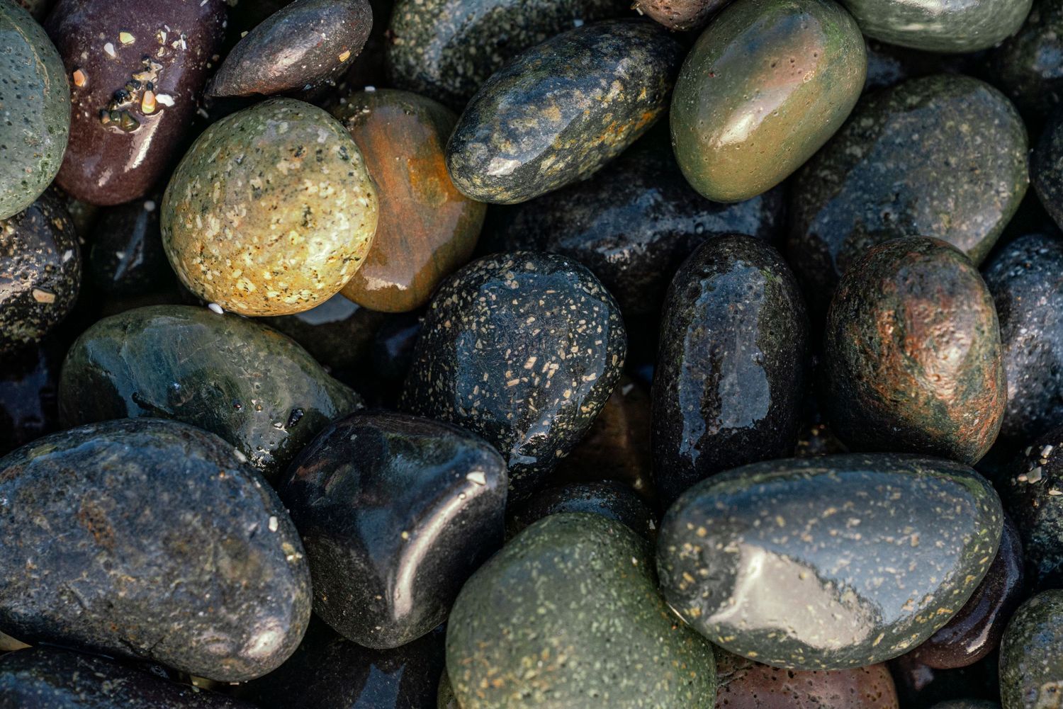 Close-up of wet, smooth, dark river rocks with shiny surfaces reflecting light, showcasing natural stone textures.