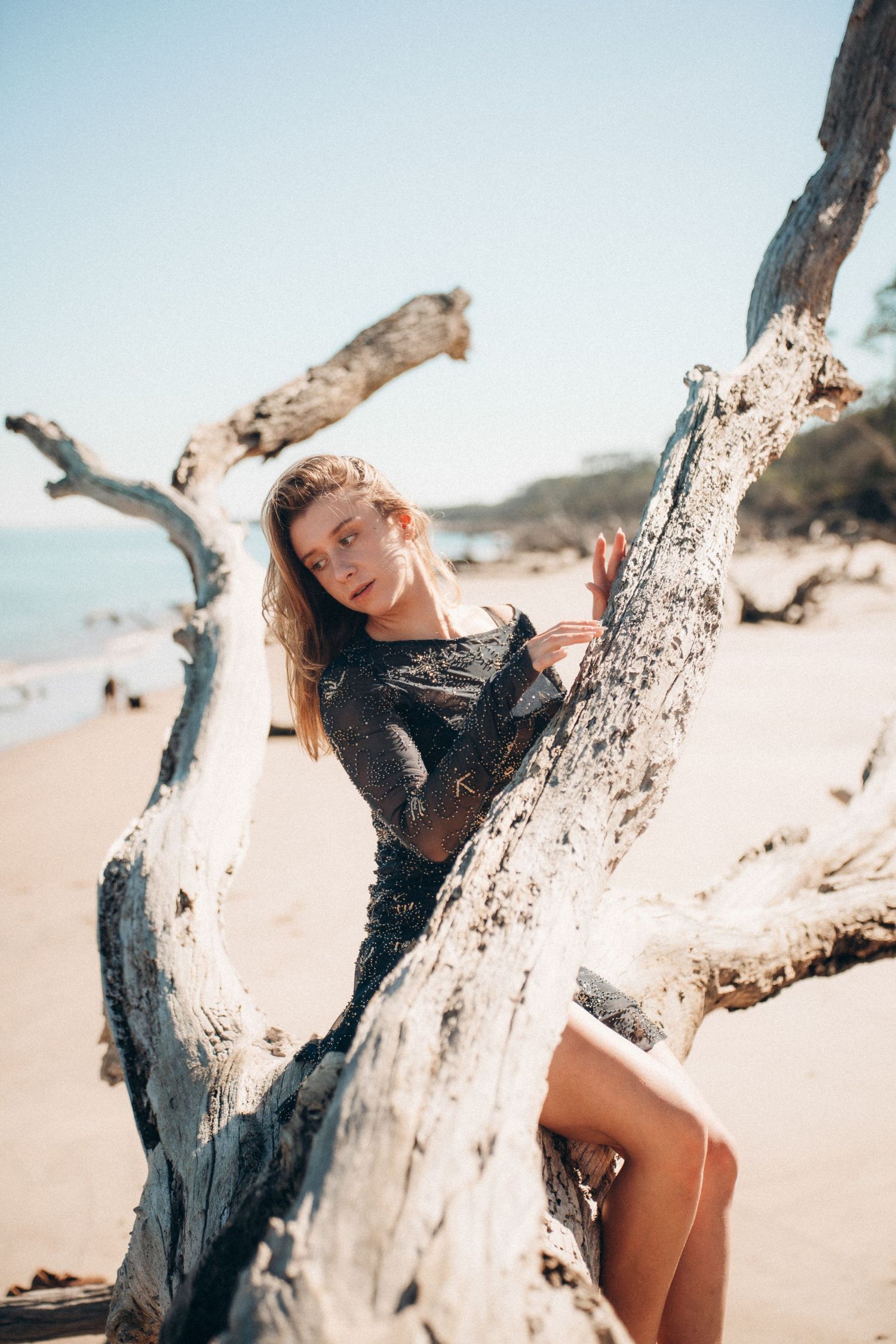 An artistic beach portrait with weathered driftwood framing against a coastal backdrop.