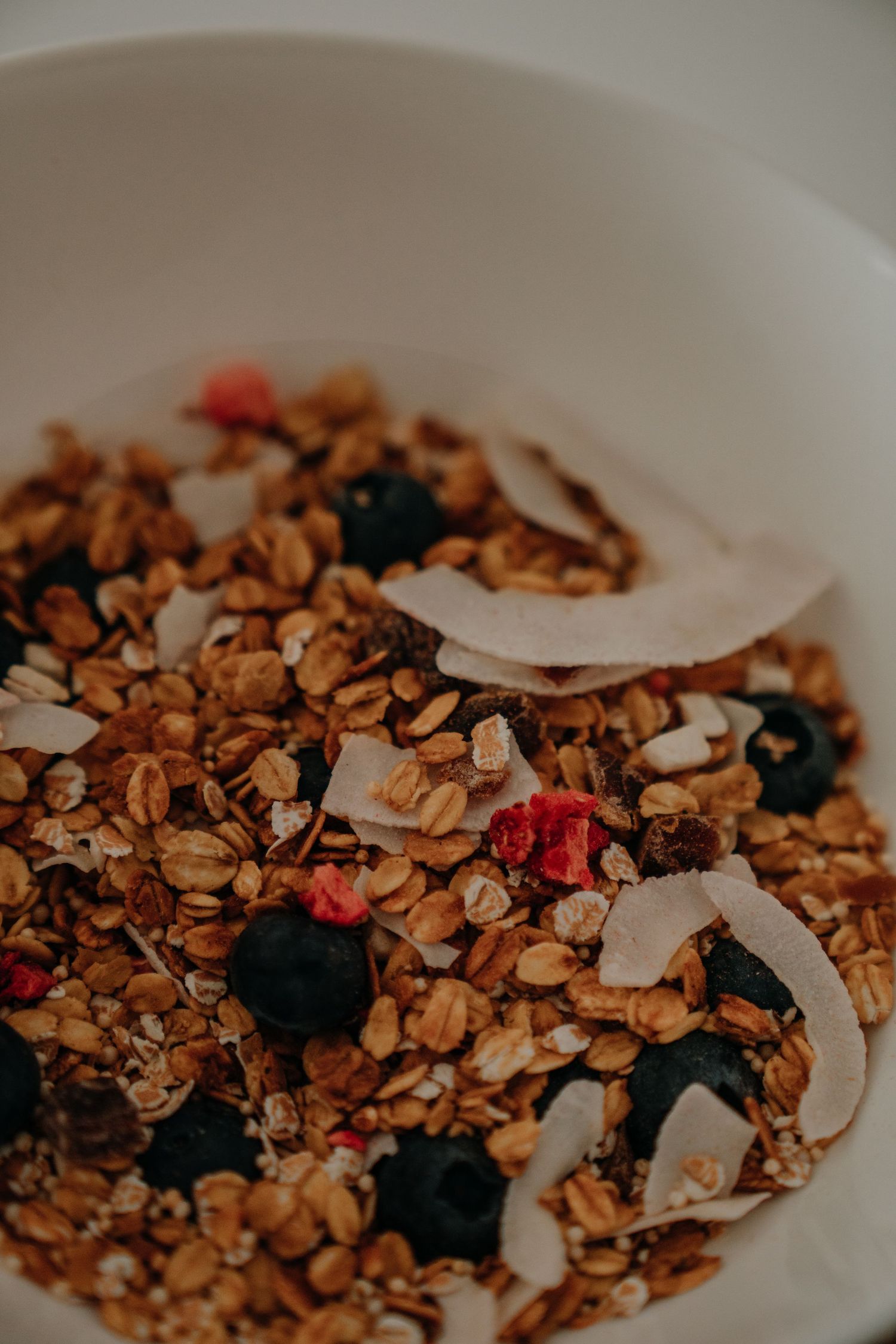 A bowl of granola with blueberries, dried cranberries, and coconut flakes for a healthy breakfast.