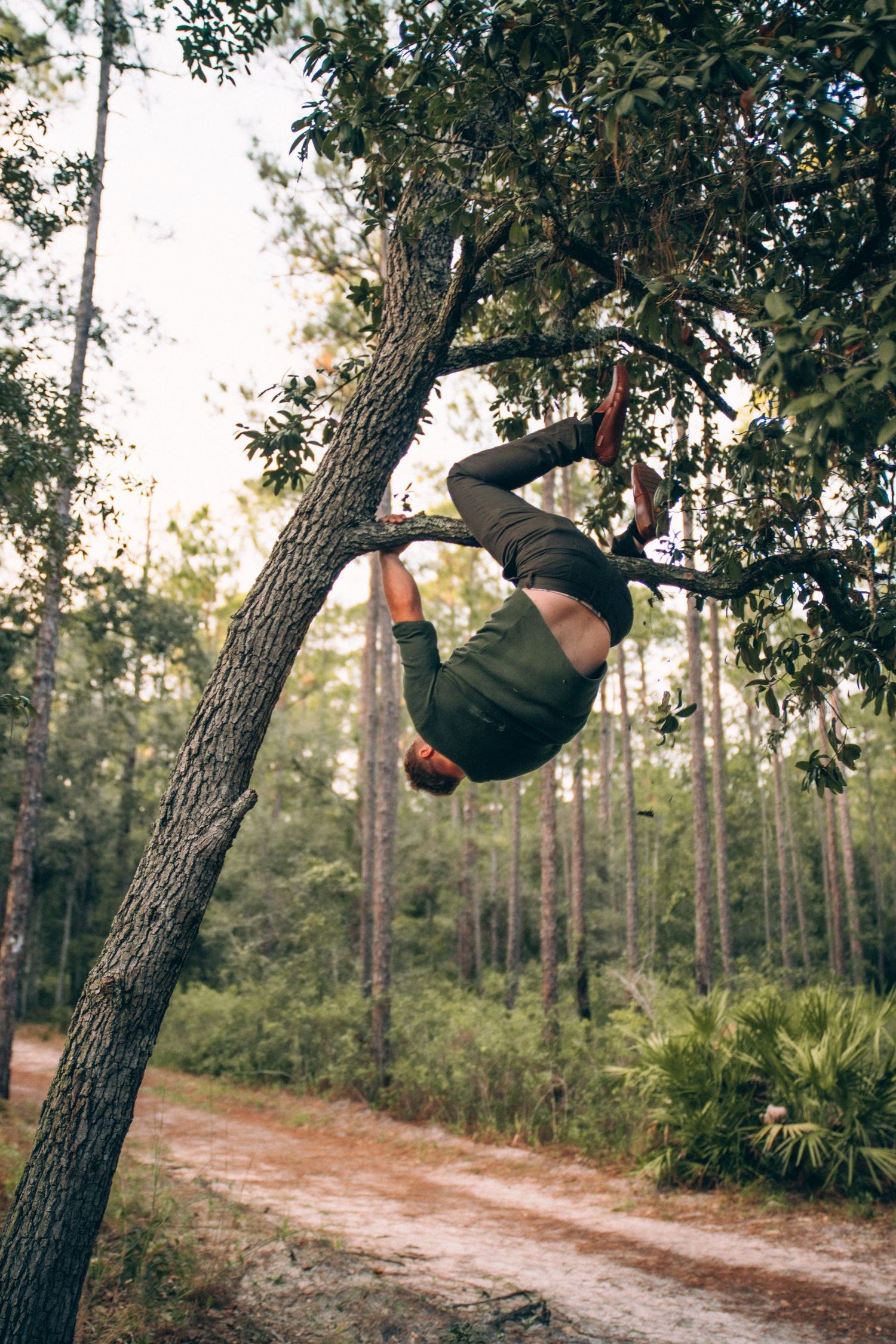Person performs a sequence of backflips off a large tree trunk in a wooded area with a dirt path.
