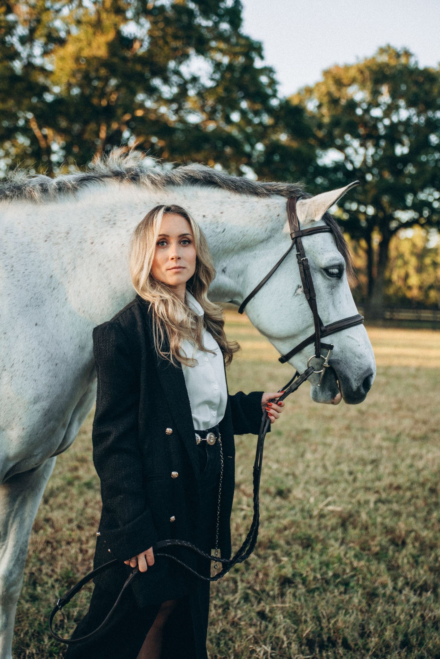 A majestic white horse with bridle stands with its companion in an autumn field at sunset.