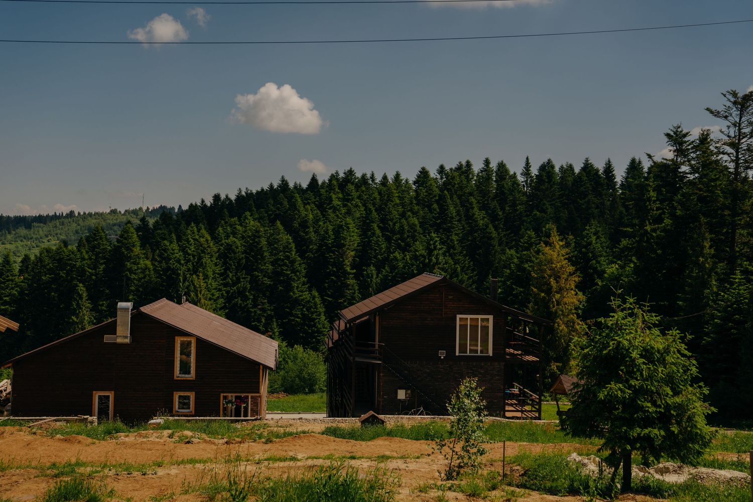Dark wooden cabins surrounded by dense green pine forest under a blue sky in summer.