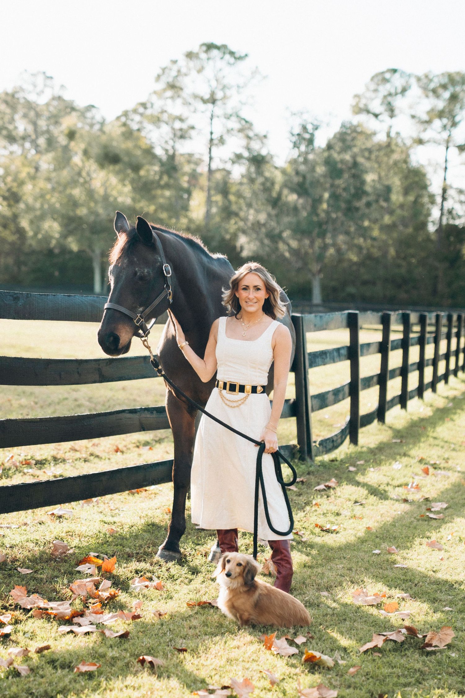 A dark horse and person in white dress stand by a fence while a brown dog rests on fallen autumn leaves.