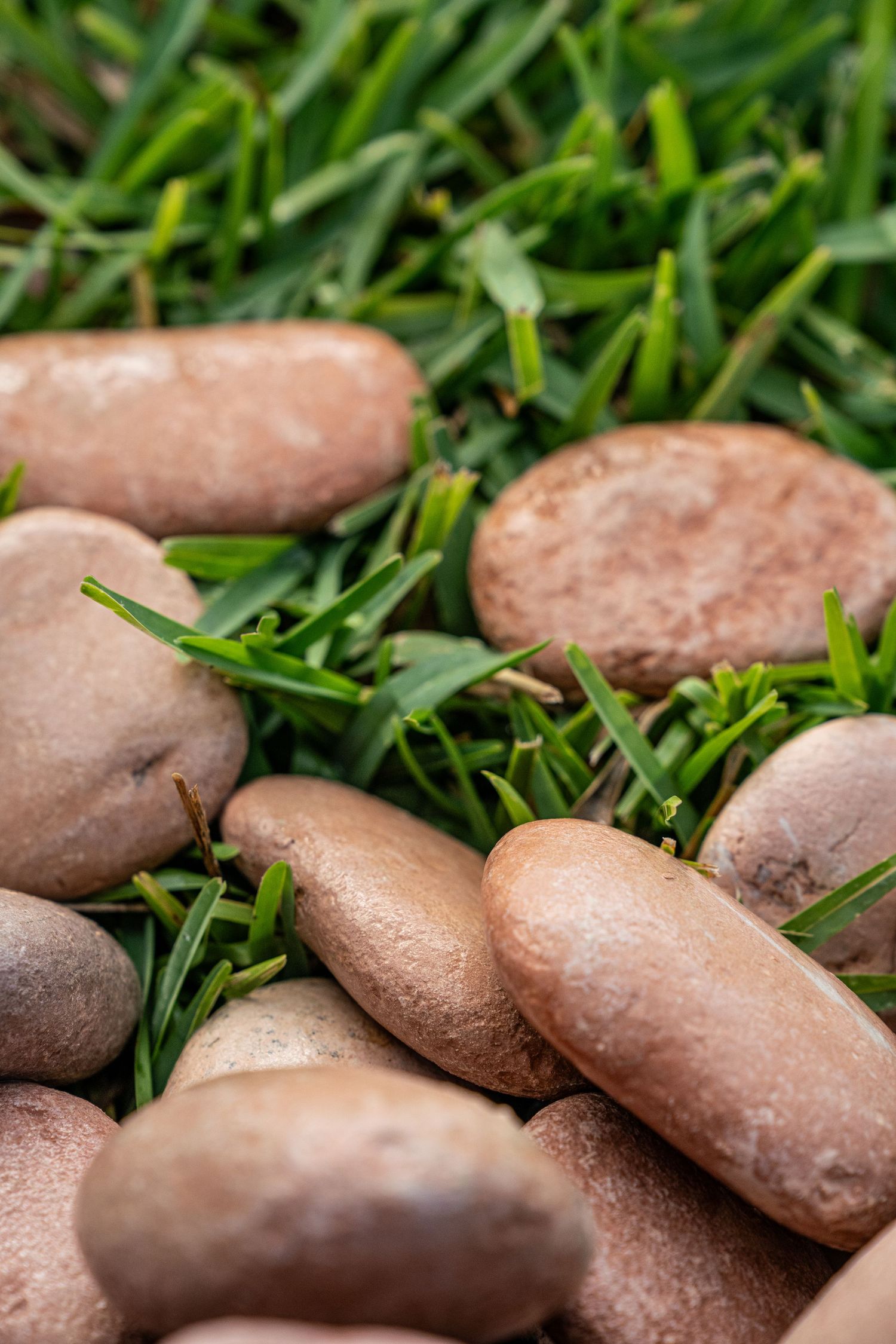 Pink and brown smooth river stones scattered on lush green grass in a garden setting.