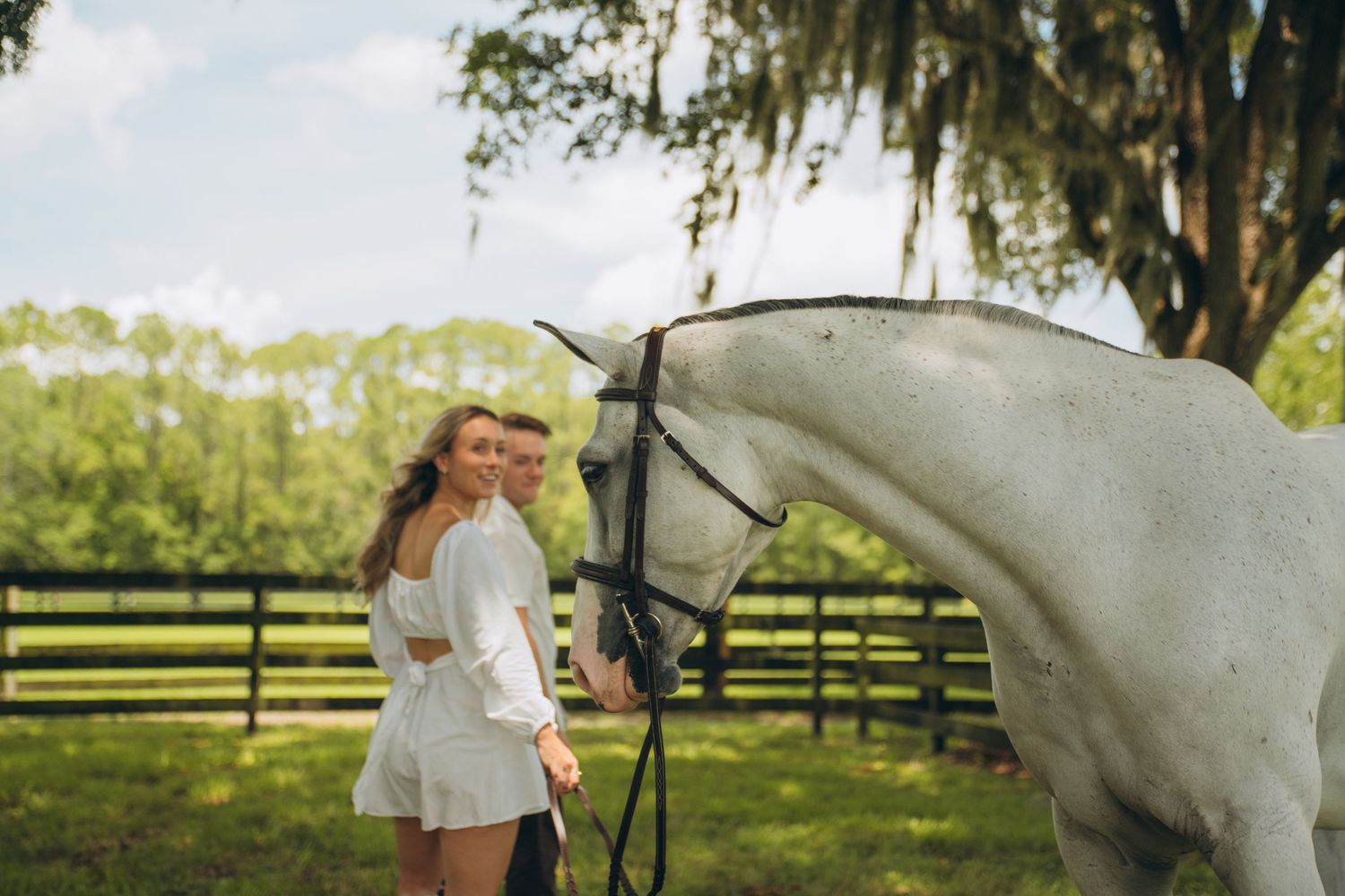 A couple stands with their majestic white horse against a backdrop of trees and fencing.
