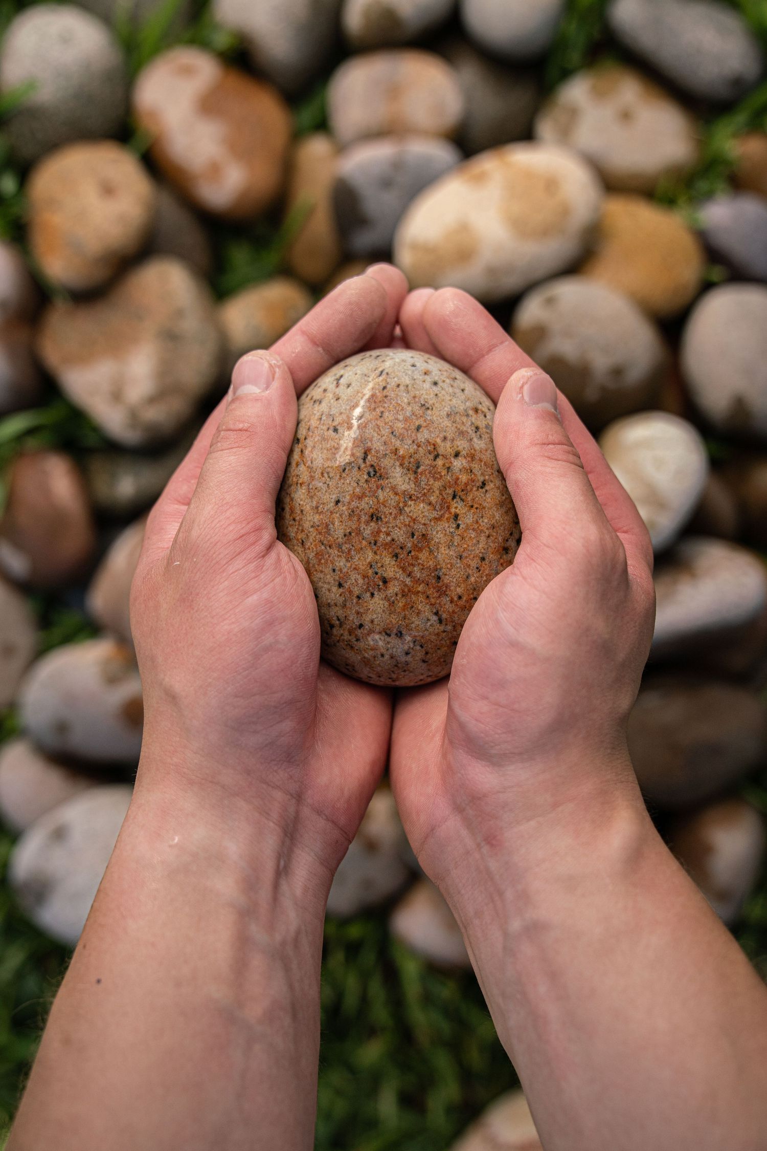 Hands cupping a smooth speckled river stone with colorful pebbles in background.