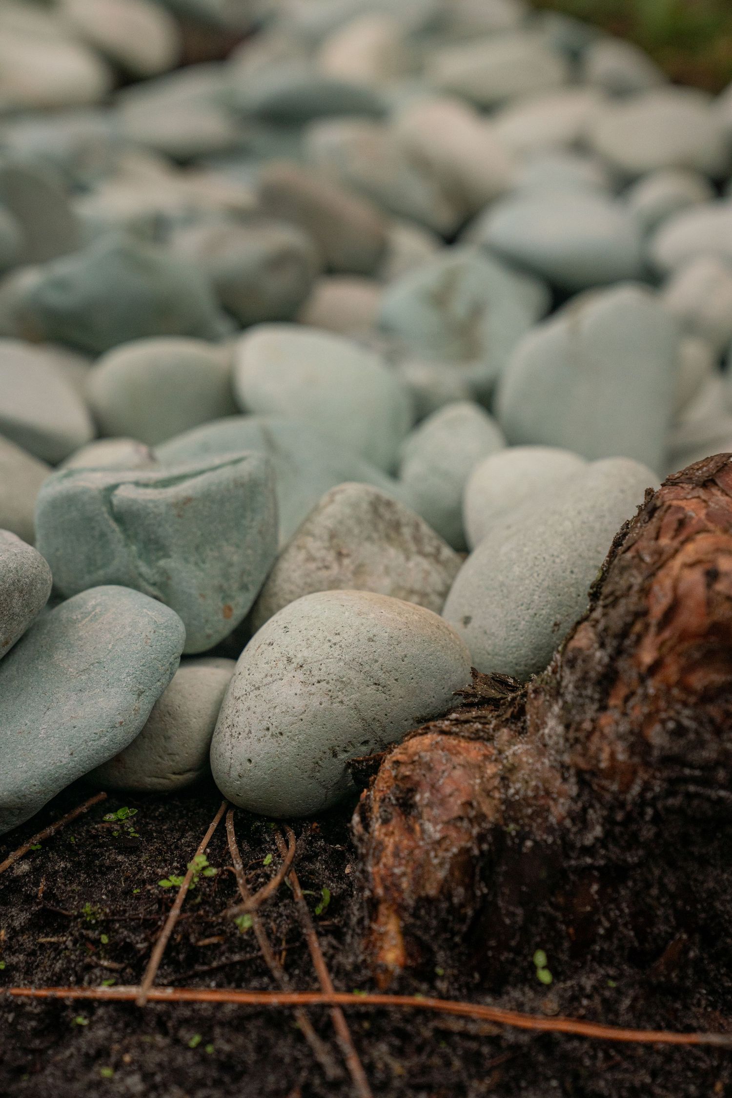 Smooth gray river rocks and pebbles arranged near a weathered tree root on dark soil.