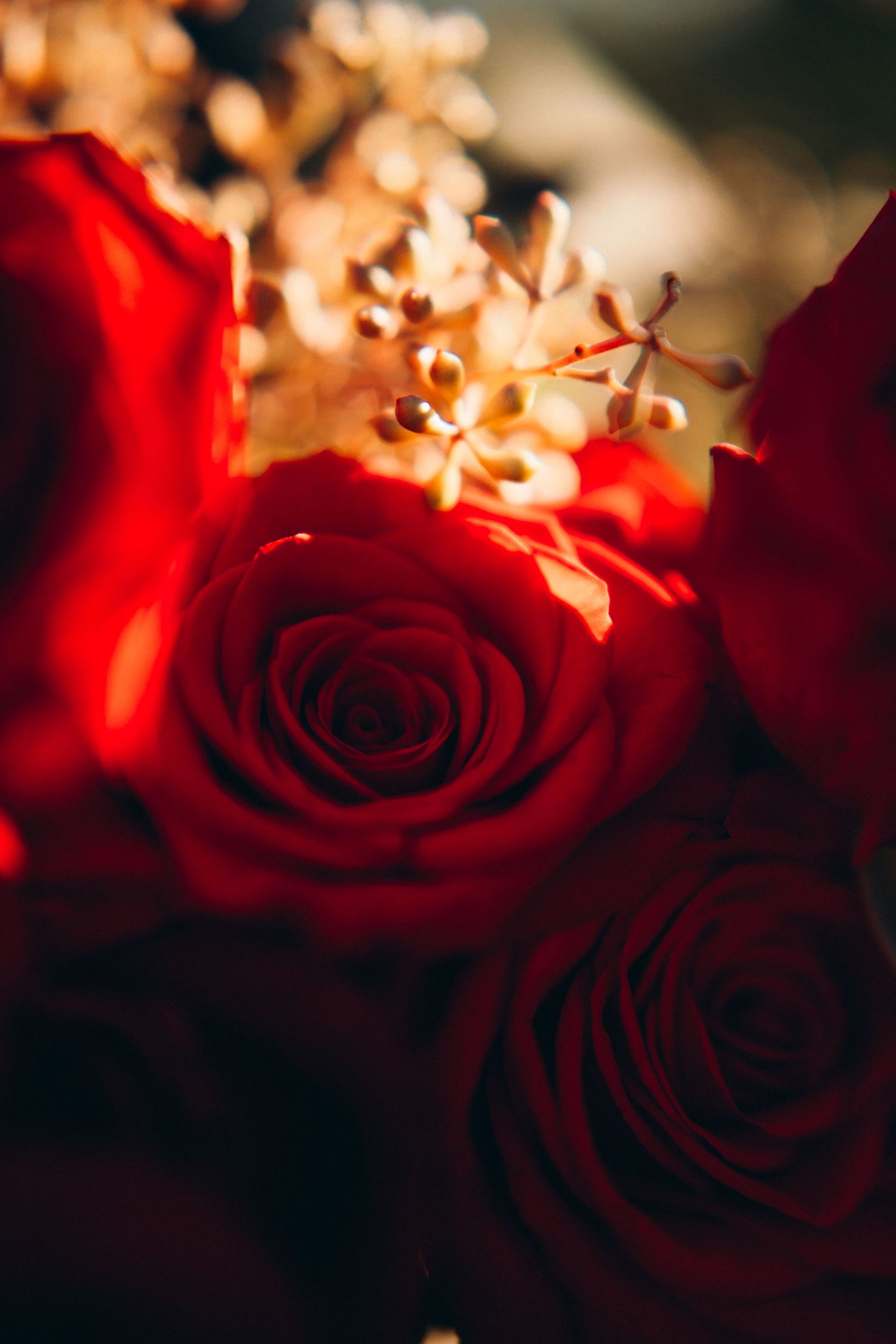 Close-up of vibrant red roses with golden accent flowers in a romantic bouquet arrangement.
