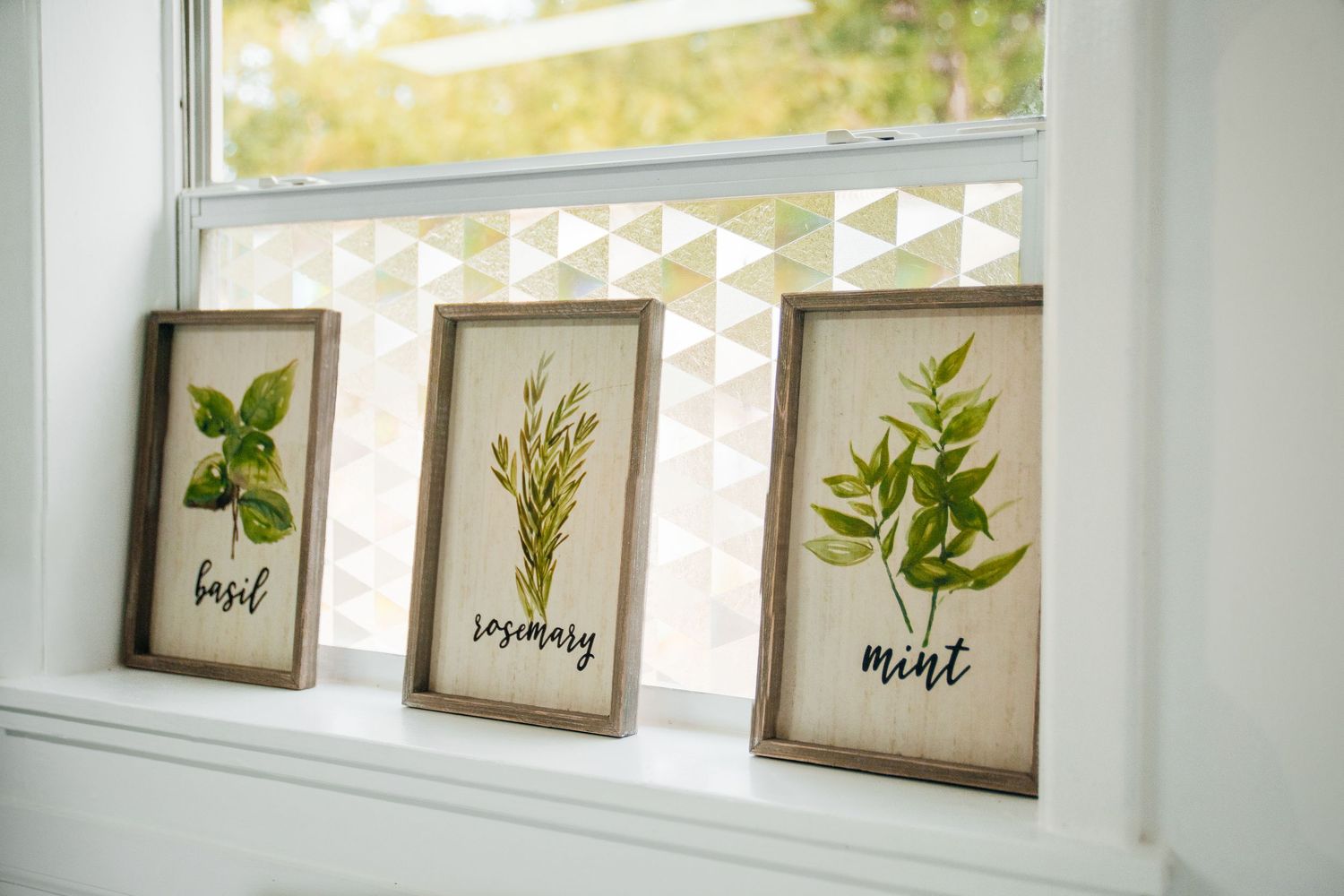 Three framed botanical herb prints of basil, rosemary, and mint on a windowsill.