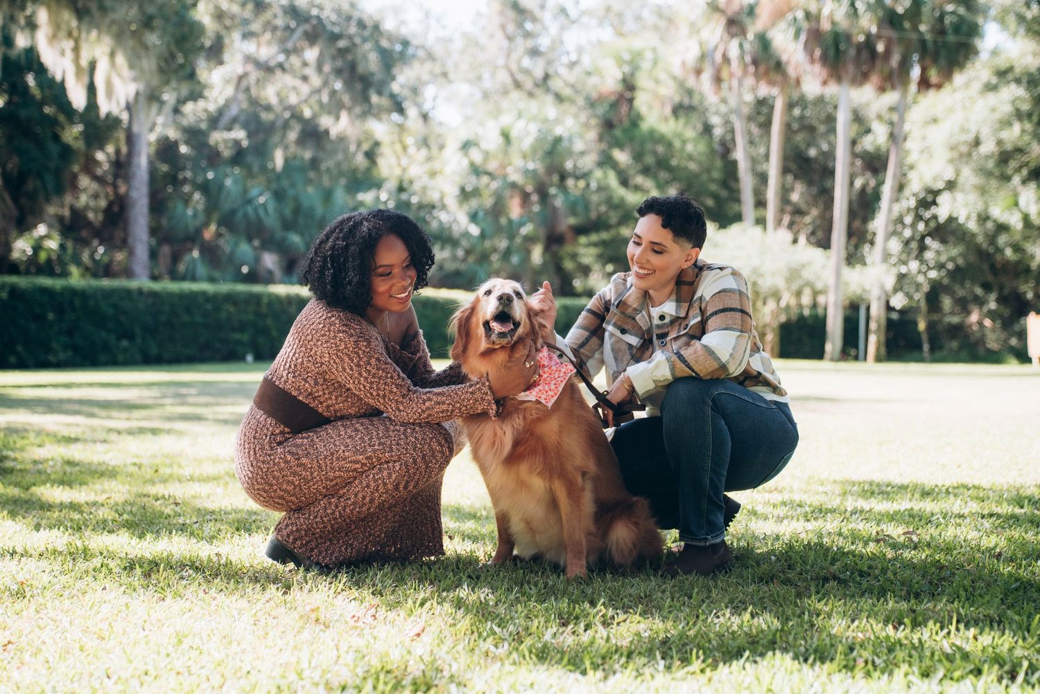 A couple pets their happy Golden Retriever dog while sitting together on grass in a sunny park.