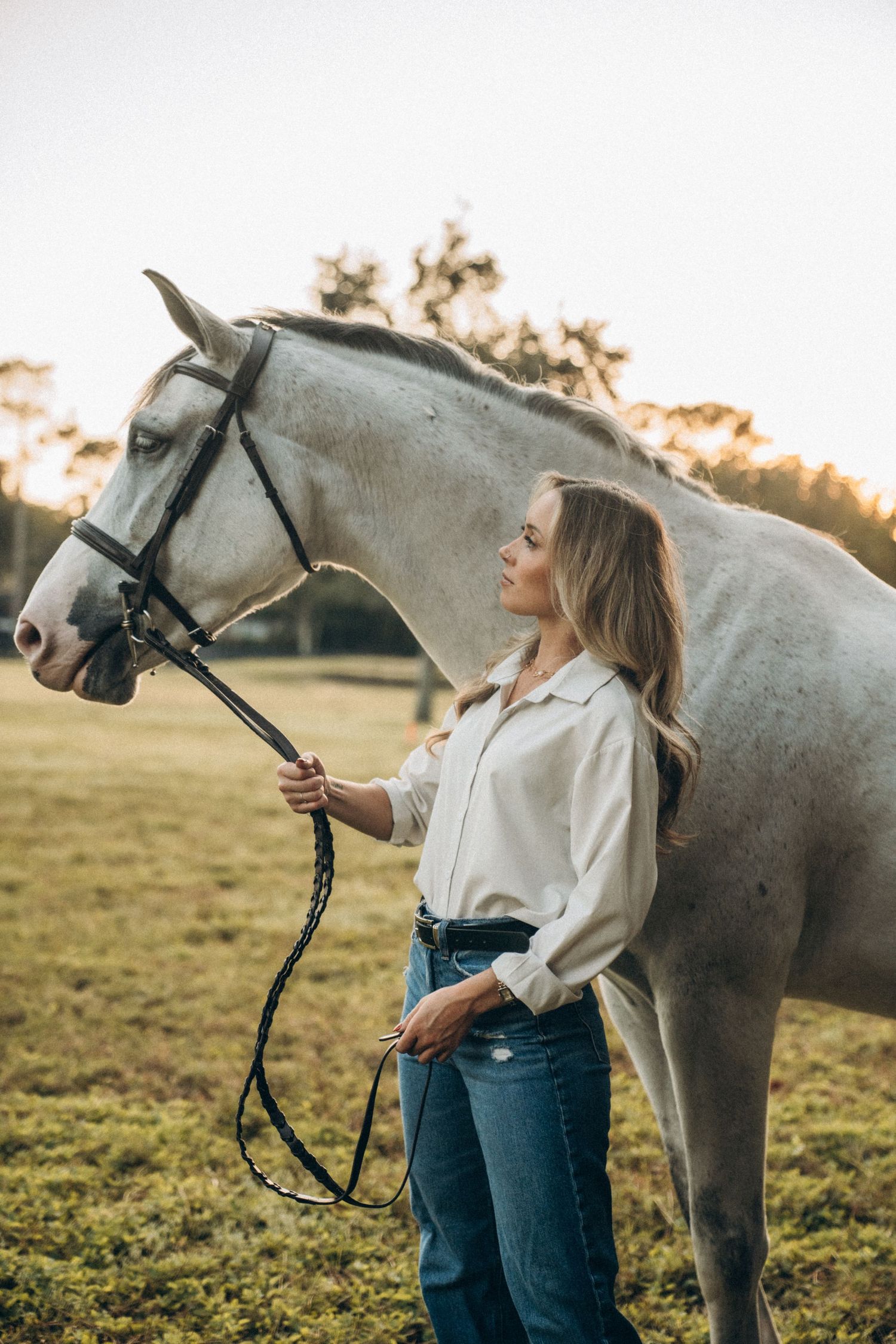 Series of intimate moments between a person and white horse in sunlit pasture.