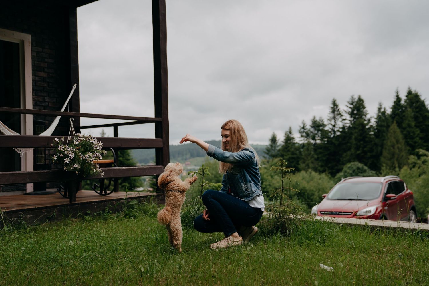 Woman trains golden retriever dog outside rustic cabin on green lawn with red car and forest background.