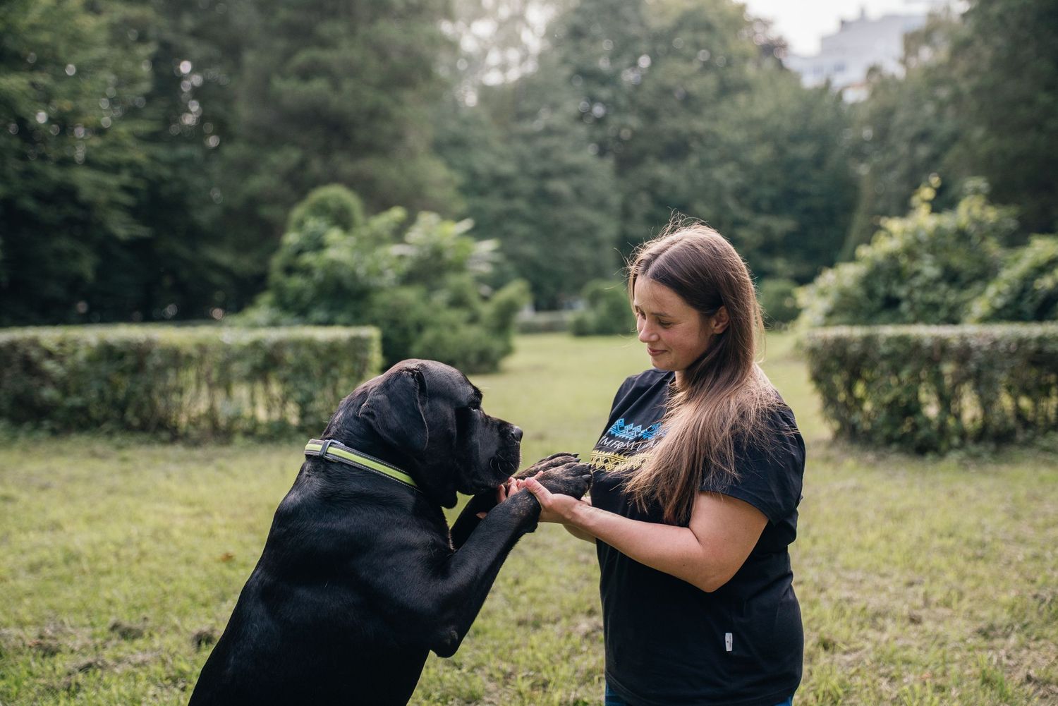 Woman in black shirt training a large black dog outdoors in a lush green park setting.