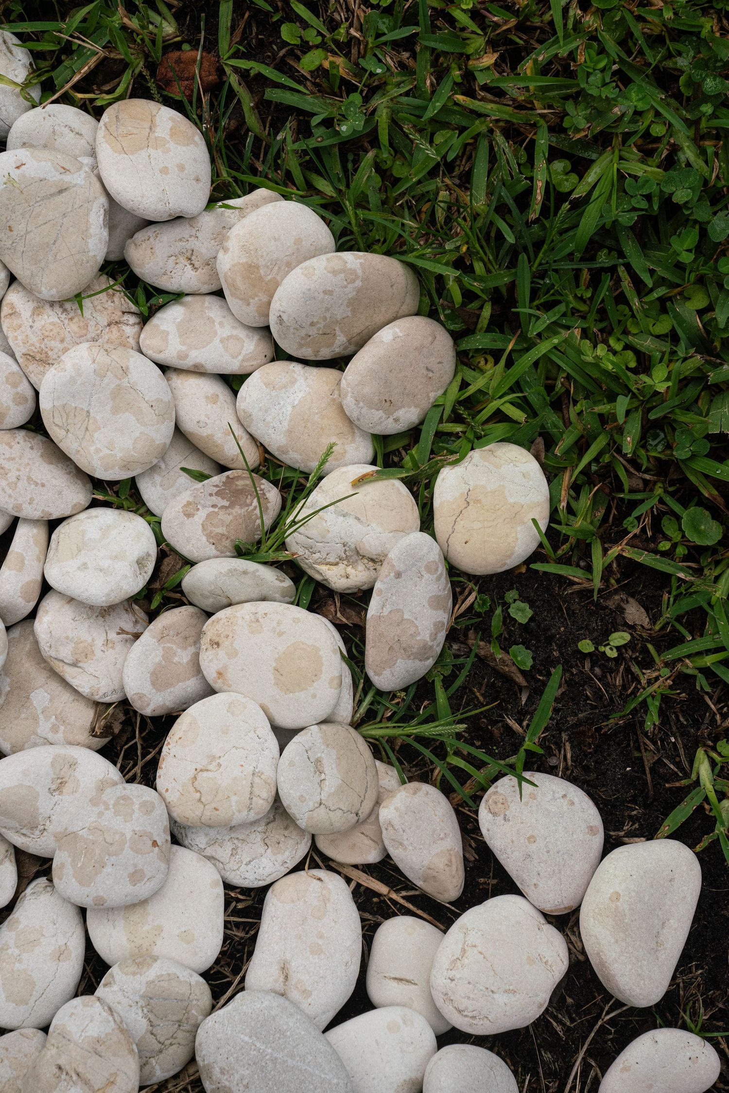 White rounded pebbles arranged as a garden border alongside lush green grass.