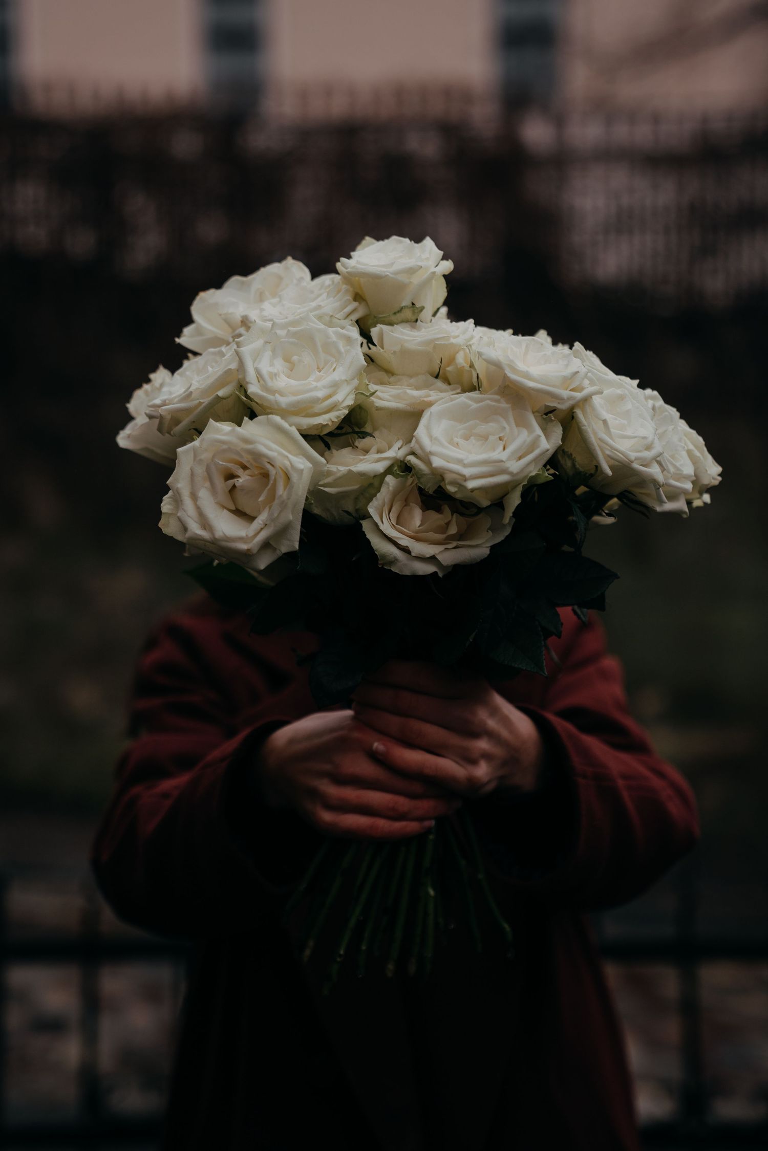 Person in red coat holding large bouquet of white roses covering their face outdoors.