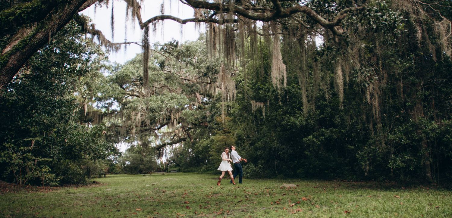 A scenic wooden boardwalk path winds through a lush forest with hanging Spanish moss and palm trees.