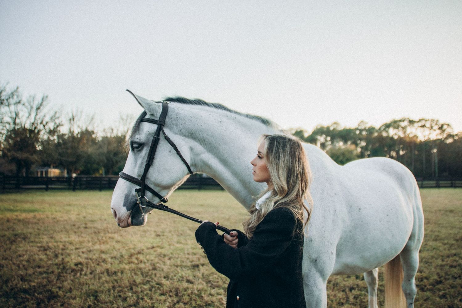A white horse with bridle stands close to its handler in a winter pasture during golden hour.