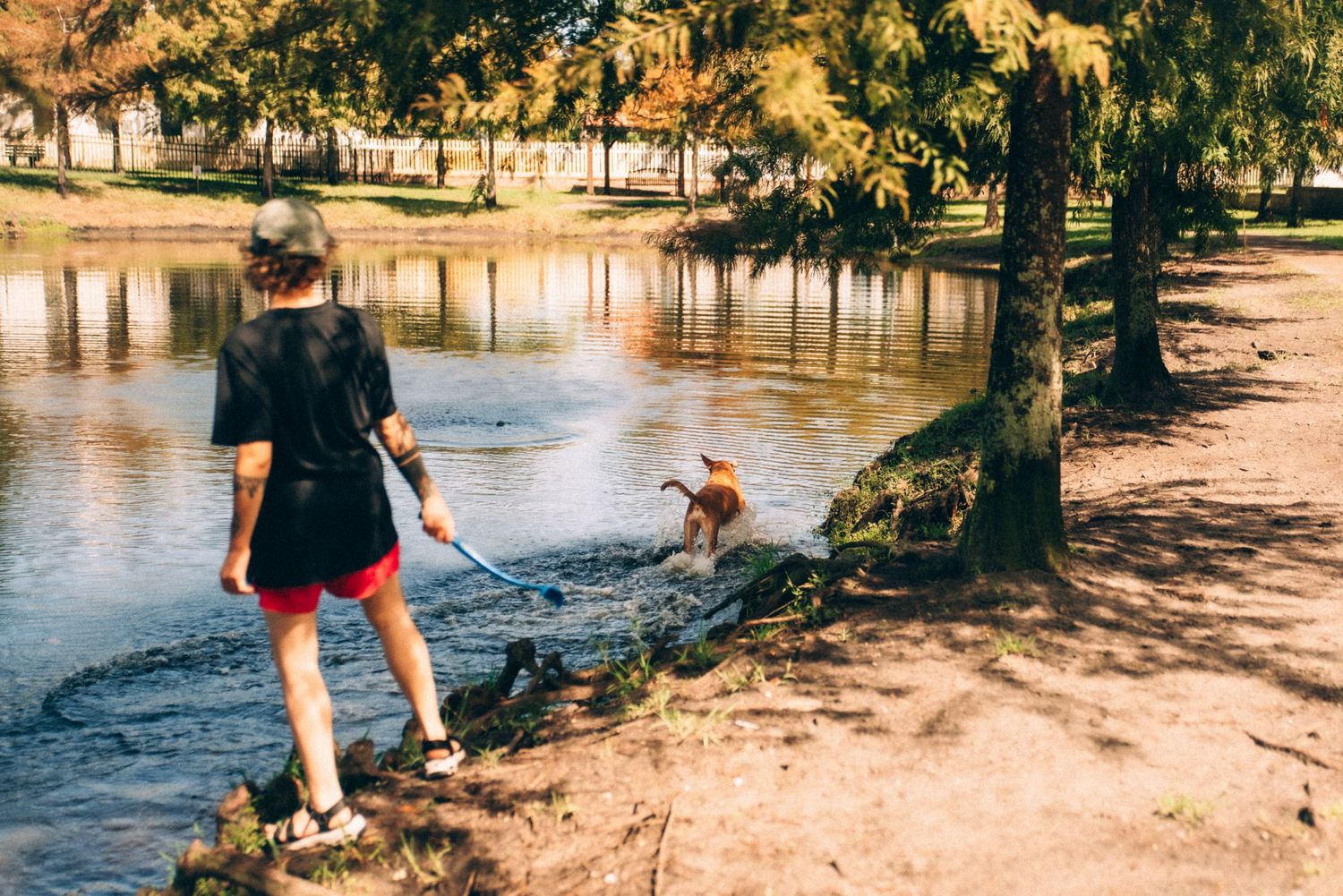 Person walking their dog along a scenic lakeside path with trees and a fountain.
