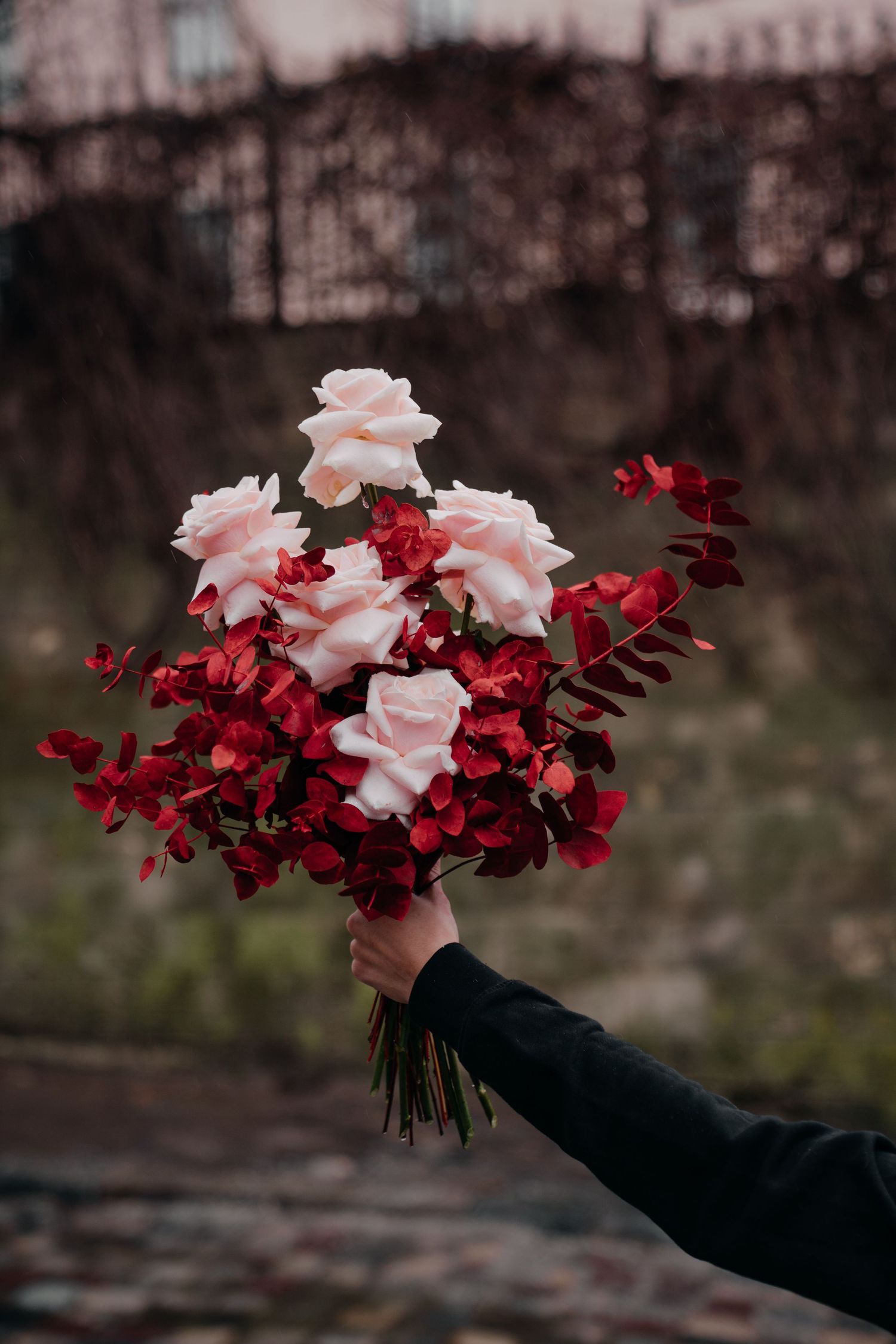 Hand holding an elegant bouquet of light pink roses and deep red hydrangeas against a dark outdoor background.