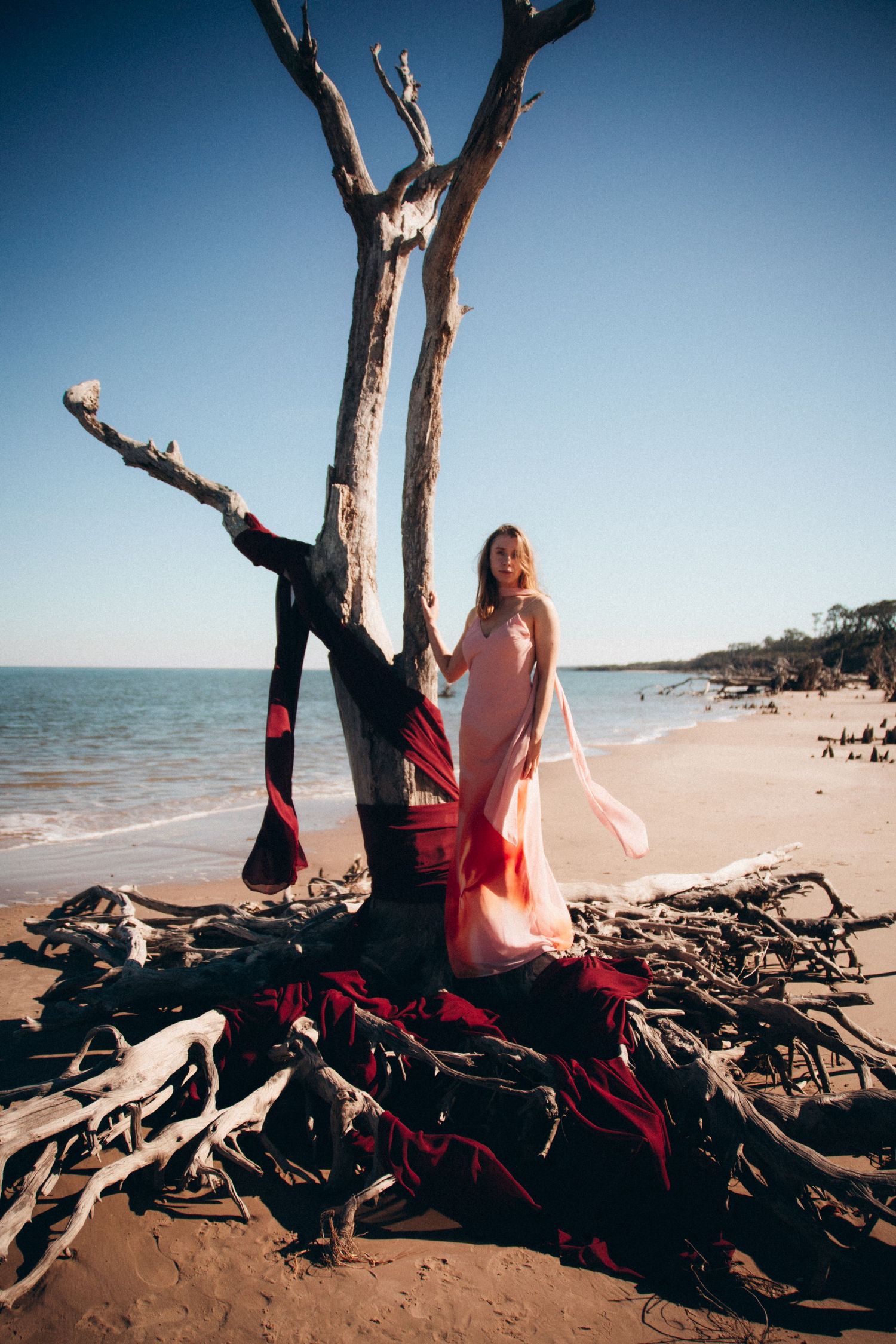 A dreamy beach scene with a pink dress, red fabric, and driftwood tree creating an artistic composition.