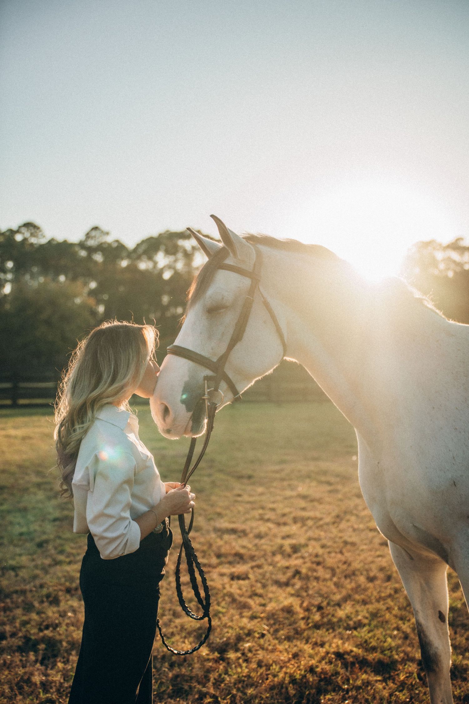 Beautiful sunset photoshoot in a field with a white horse and classic equestrian styling.