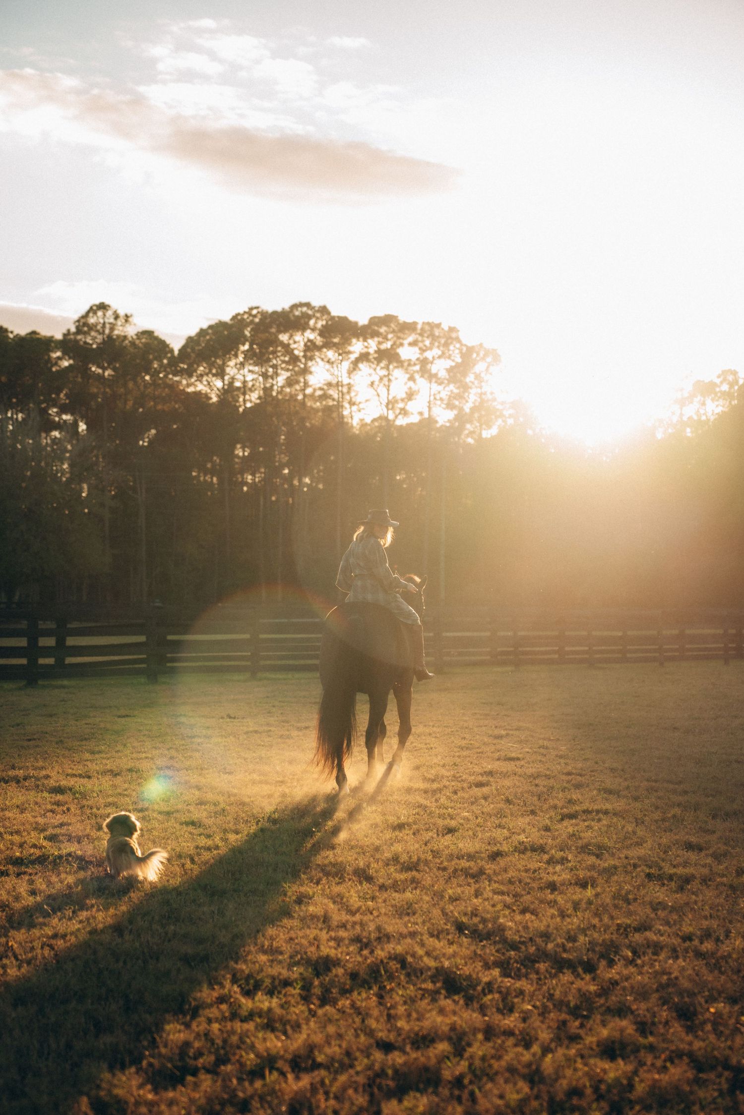 A silhouetted figure rides a horse across a sunlit field at golden hour with lens flare.