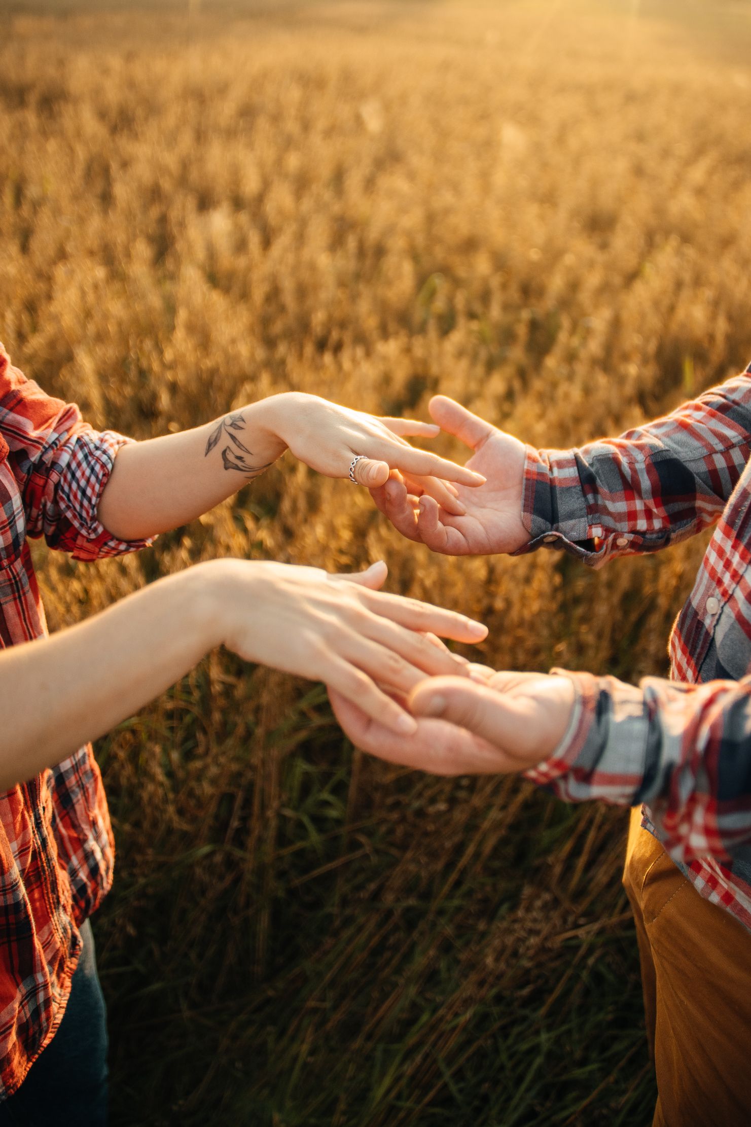 Close-up of hands touching tenderly in sunlit wheat field.