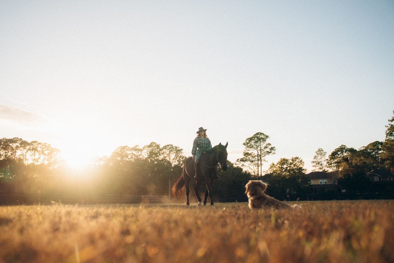 Person riding a horse at golden sunset in a open field with a dog resting in the foreground.