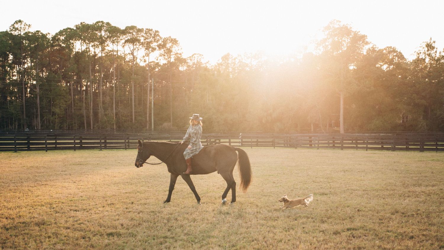 A scenic sunset view over a horse farm with silhouettes of horses and fences in golden light.
