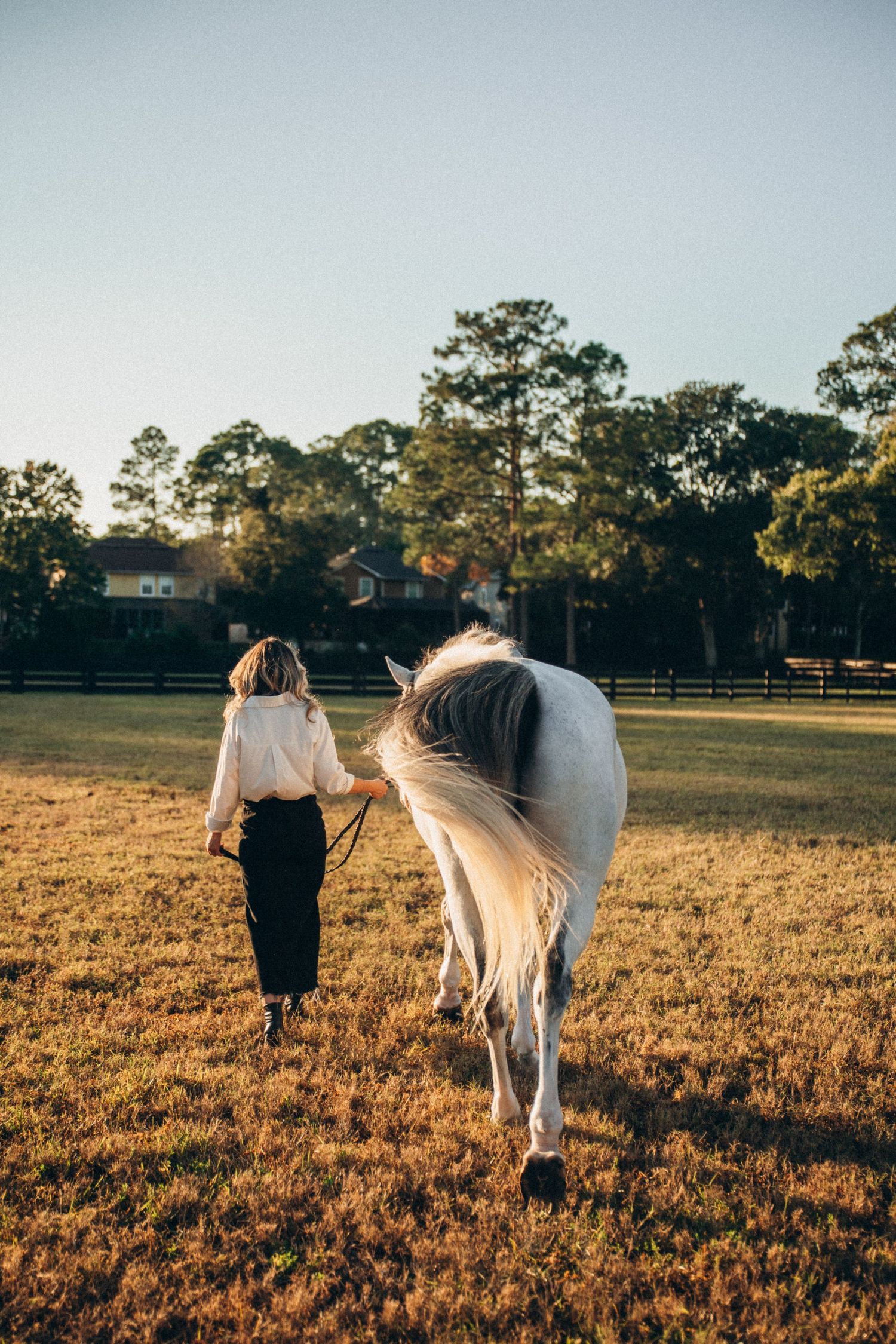 A person walks with a white horse across a sunlit field at golden hour with trees in the background.