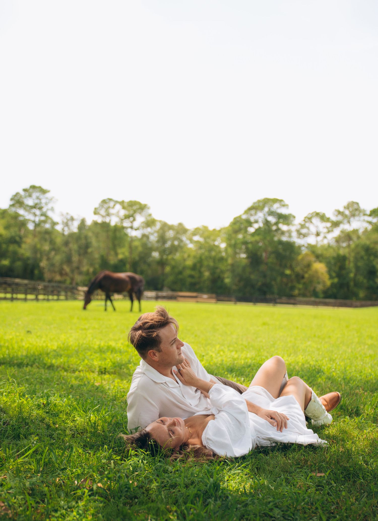 Couple relaxing on grass in a sunny field with horses in the distance.