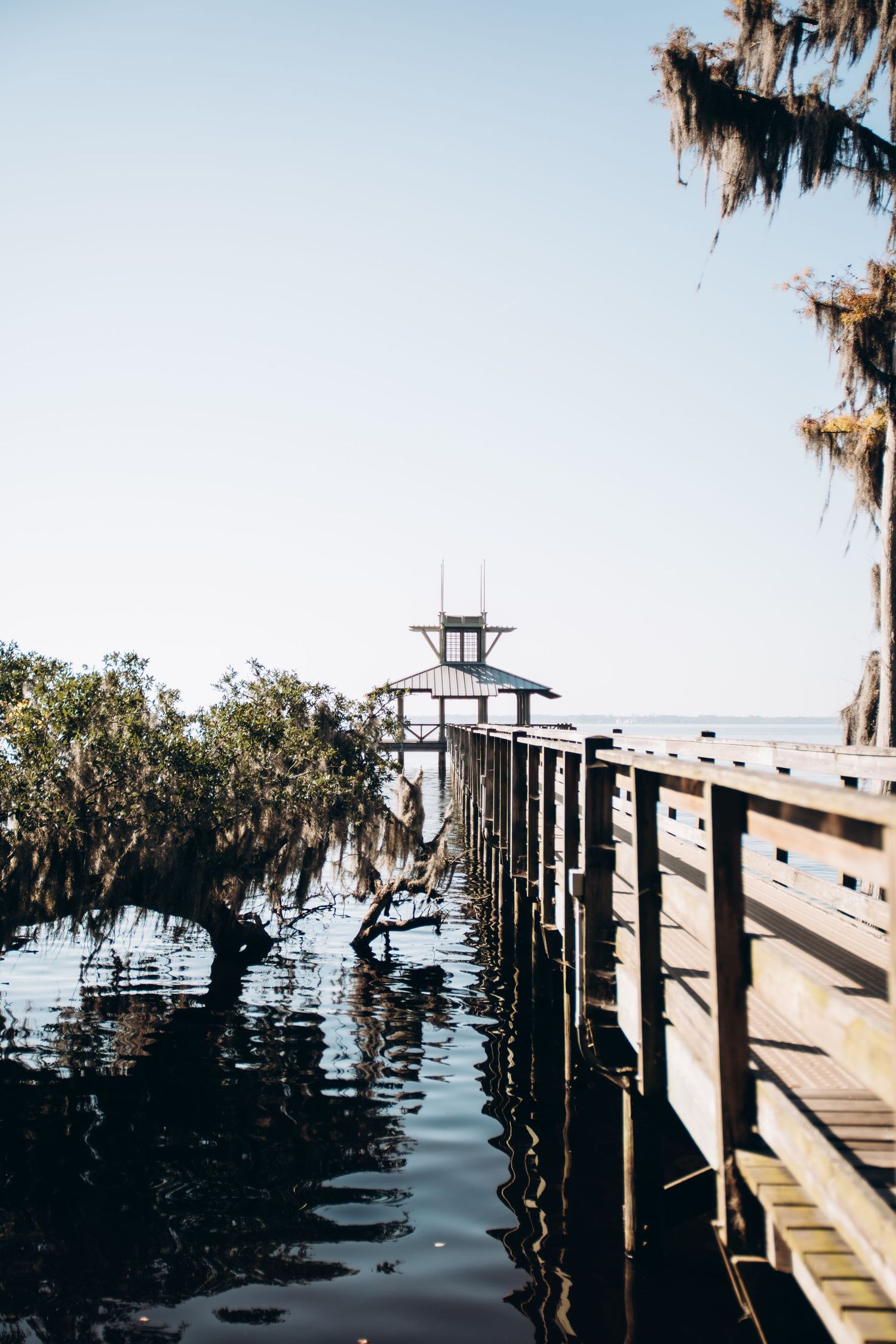 A wooden boardwalk extends over calm waters with Spanish moss hanging from trees in the background.