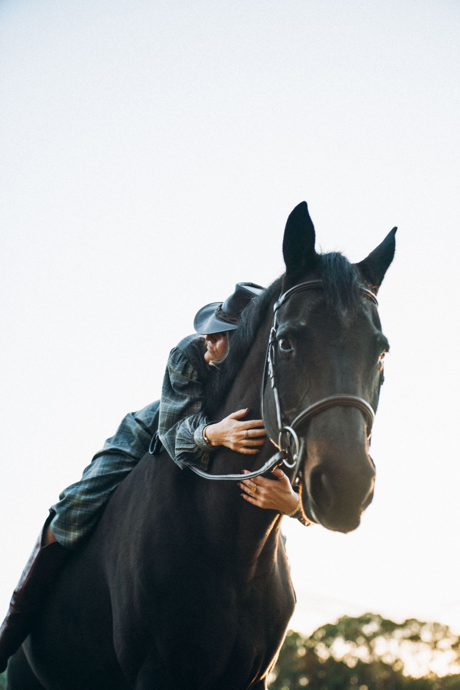 Silhouetted black horse and rider against a bright sky during sunset or sunrise creating a dramatic backlit effect.