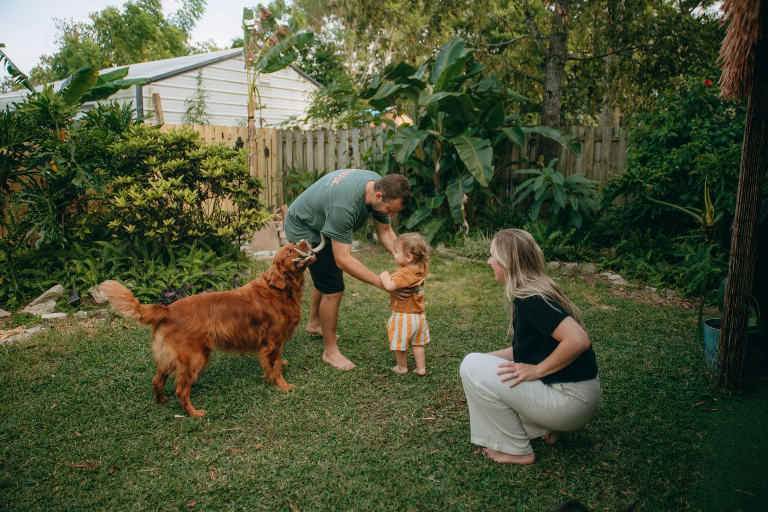 Family playing in backyard with golden retriever dog visible in background.
