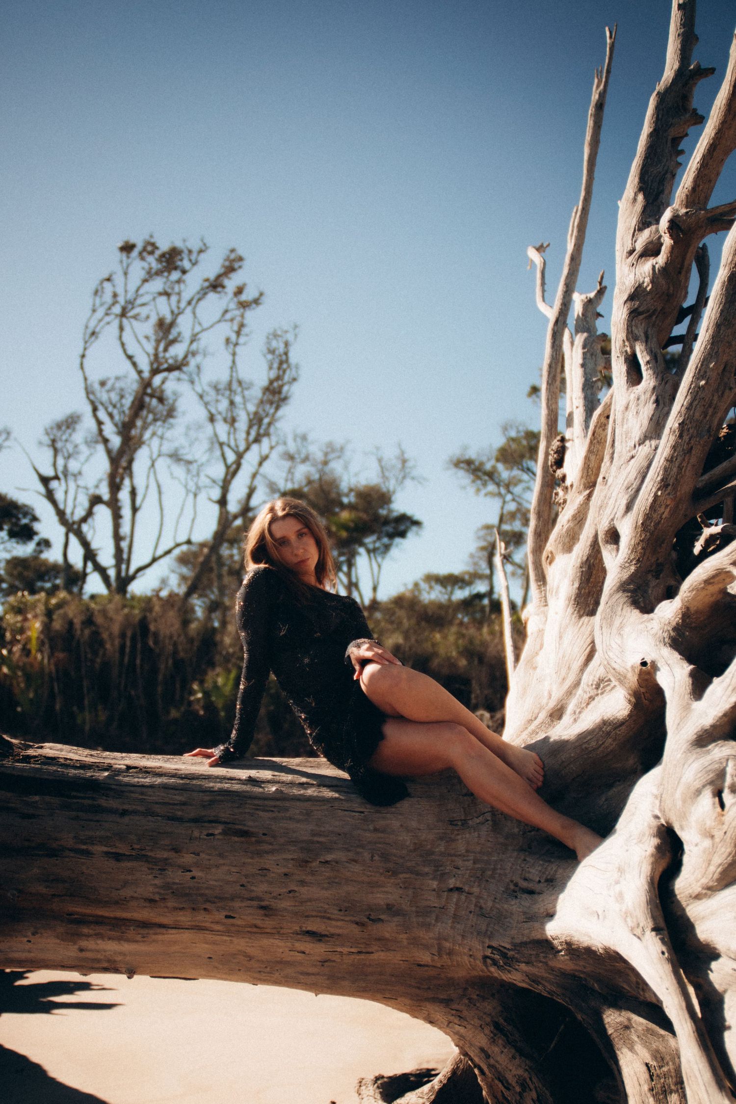 Person sitting on a fallen white tree trunk in a natural outdoor setting during daytime.