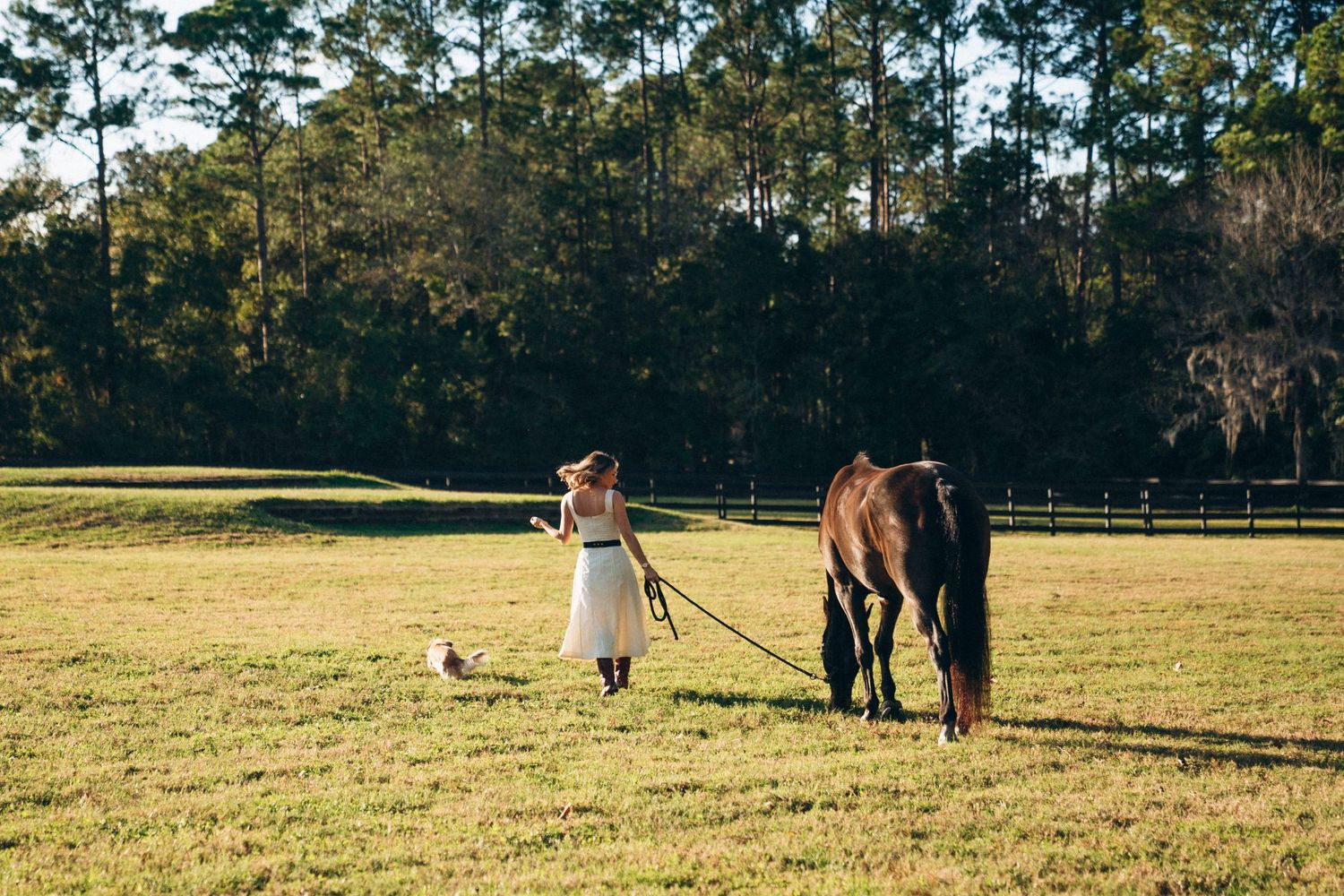 A peaceful scene of walking with a horse in a grassy field surrounded by trees.