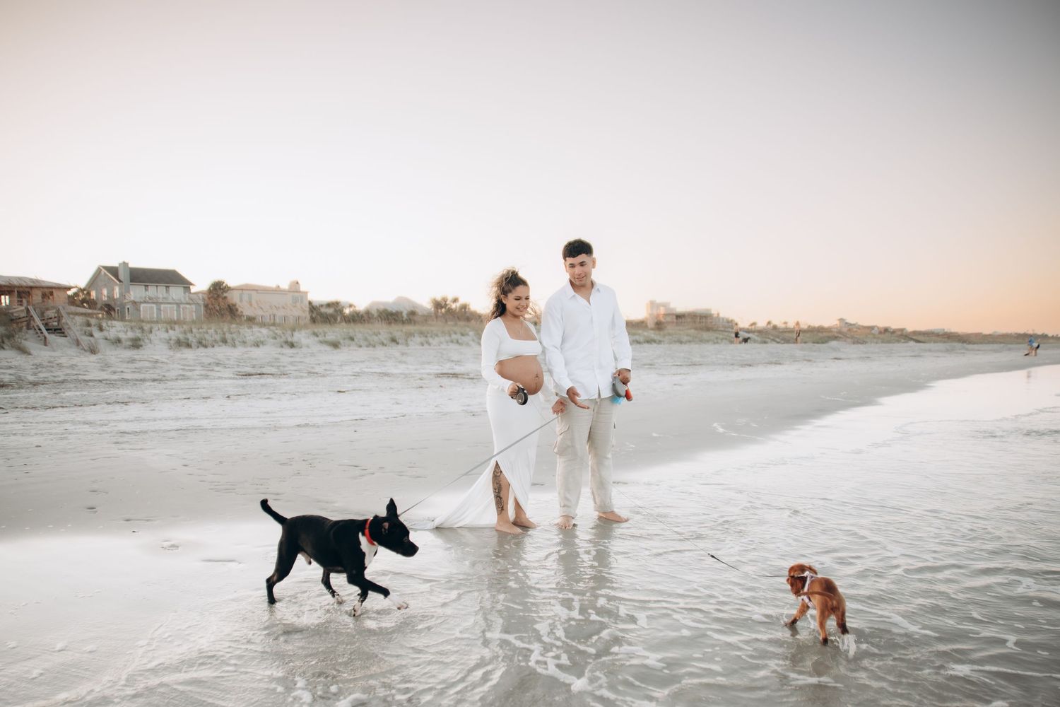 A serene beach setting with people and pets enjoying the ocean waves at dusk.