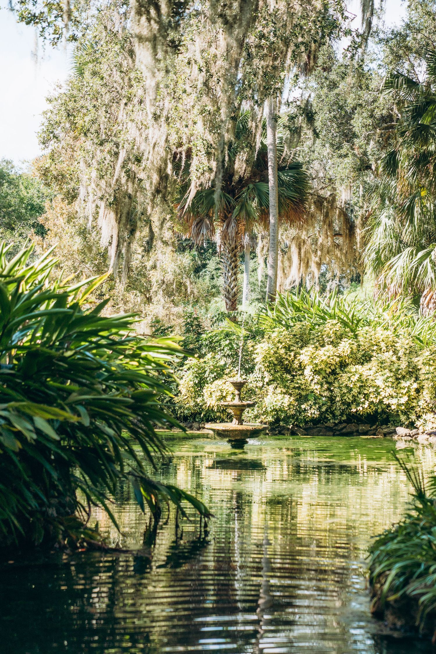 Serene pond surrounded by Spanish moss-draped trees and tropical plants in a lush garden setting.