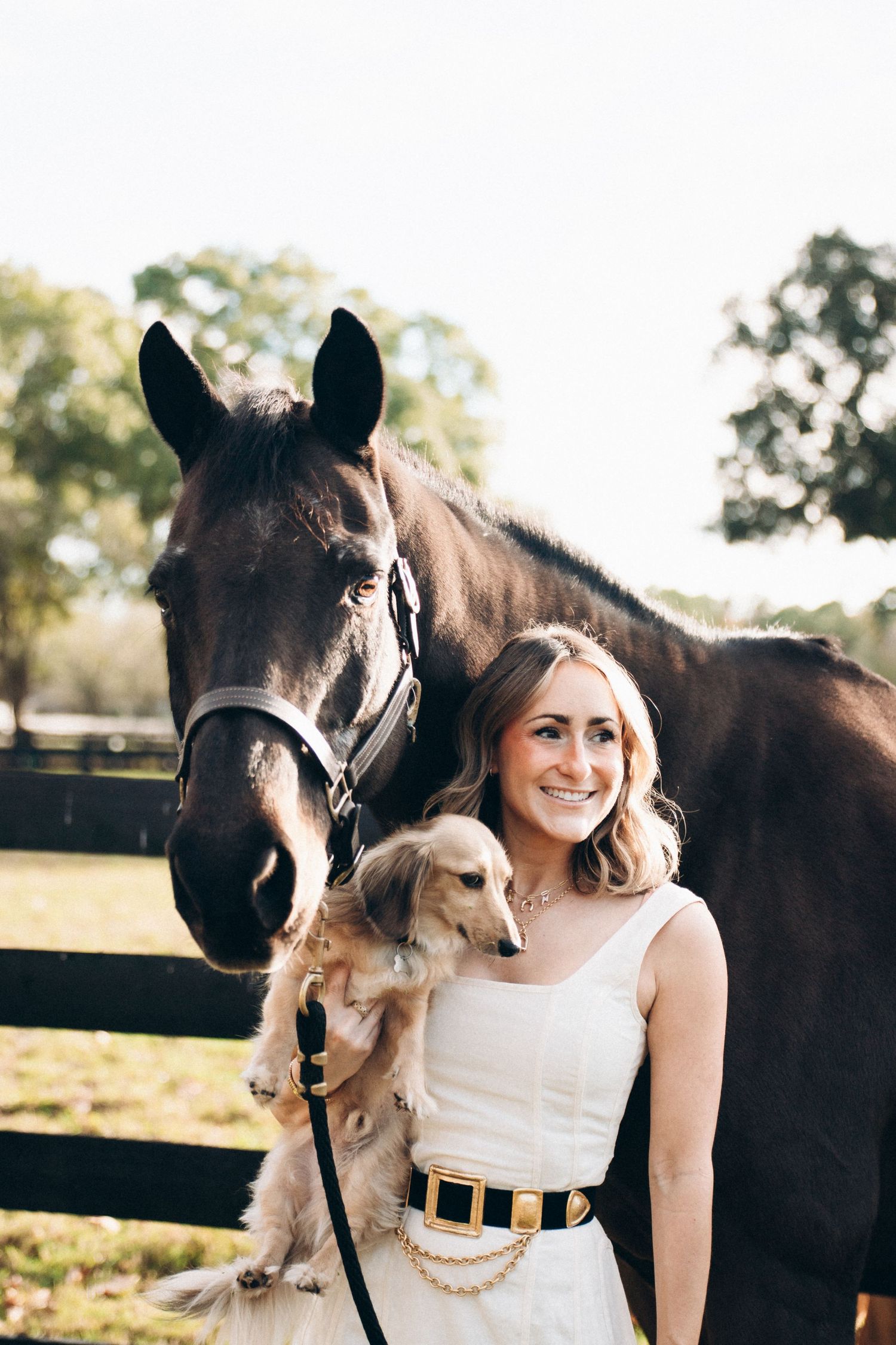 A beautiful dark horse and a small dog pose together with someone in a white dress on a sunny day.