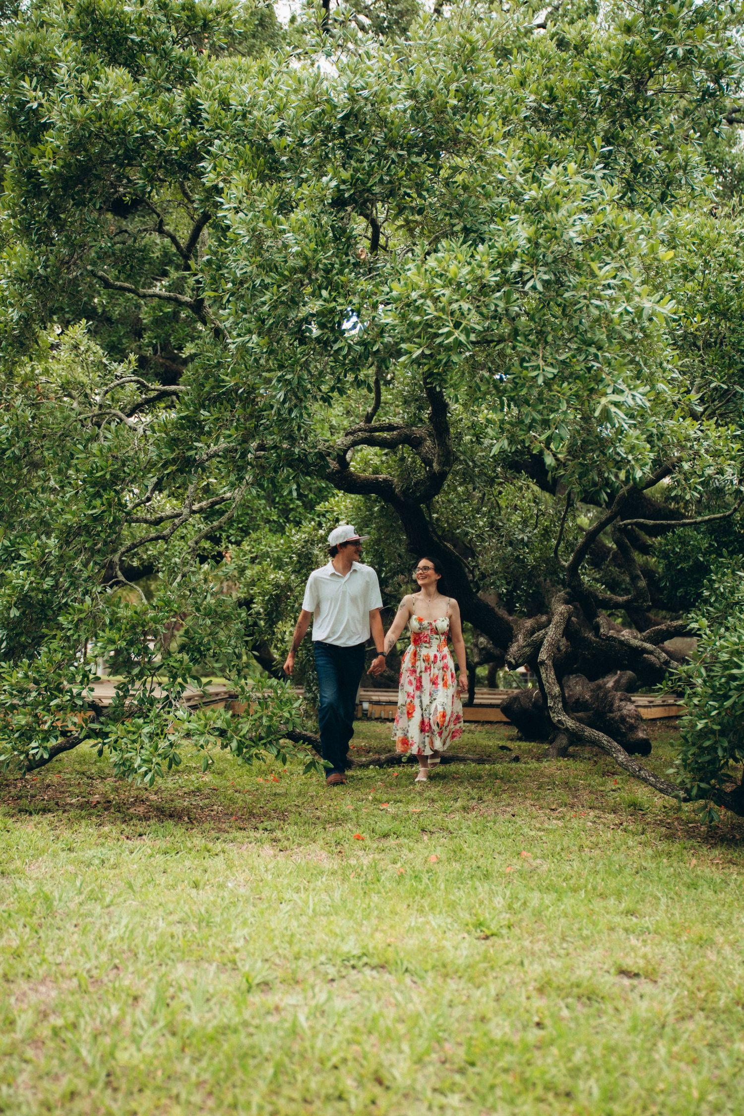 Couple holding hands walking through lush green park beneath large sprawling oak tree.