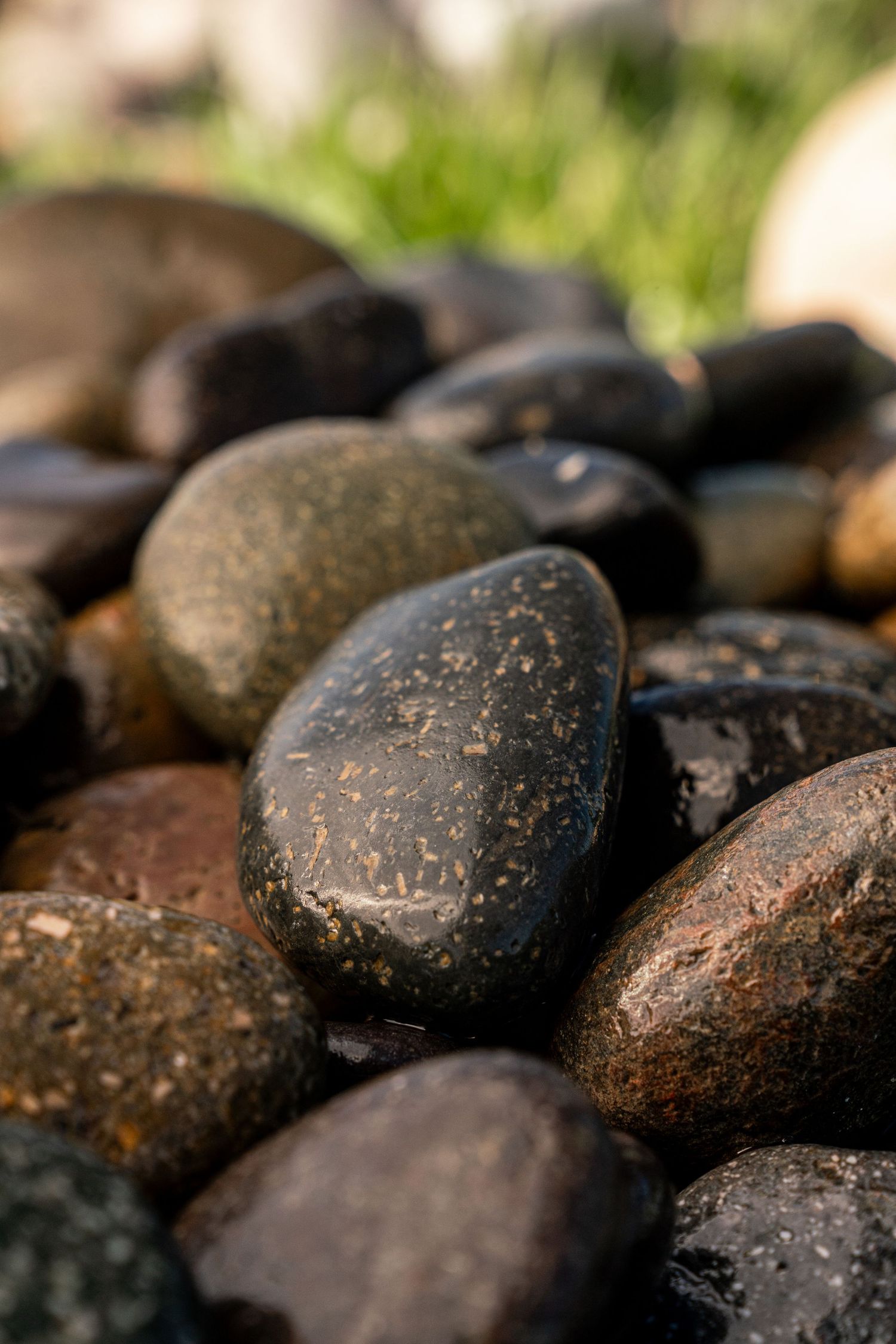 Close-up of smooth, wet river rocks and pebbles in dark brown and gray tones with green grass in background.