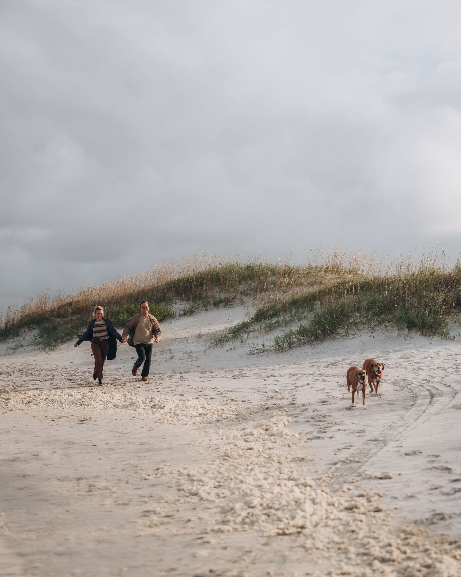 Two people and their dog walk along sandy dunes on an overcast beach day.