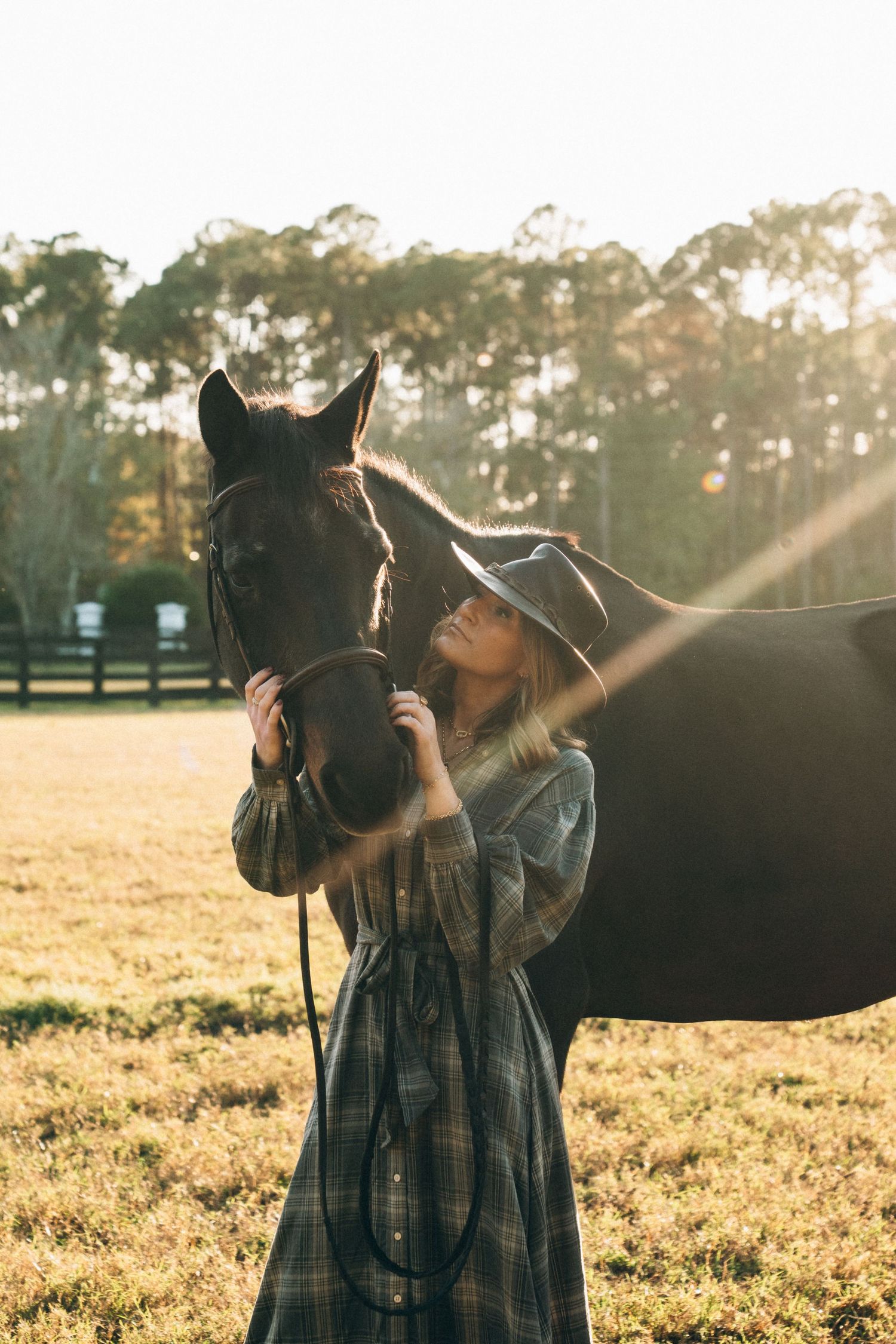 A dark horse and person in plaid dress share an intimate moment in a golden-lit field at sunset.