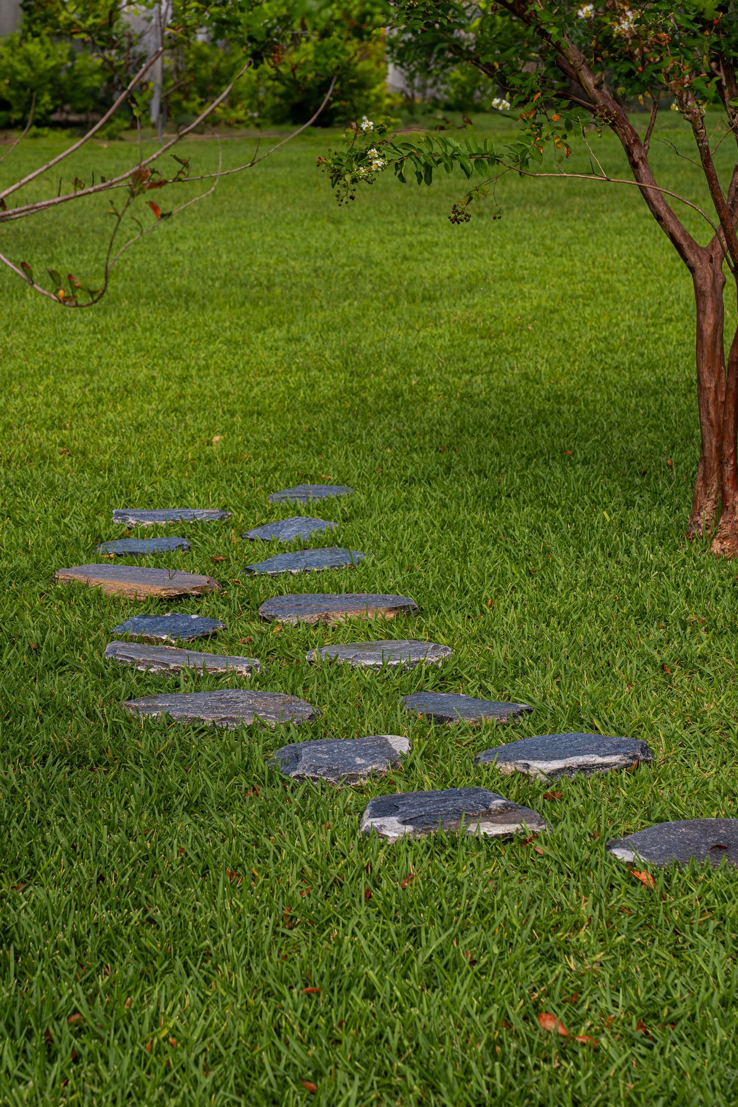 Irregular stone stepping path winding through lush green grass near a flowering tree.