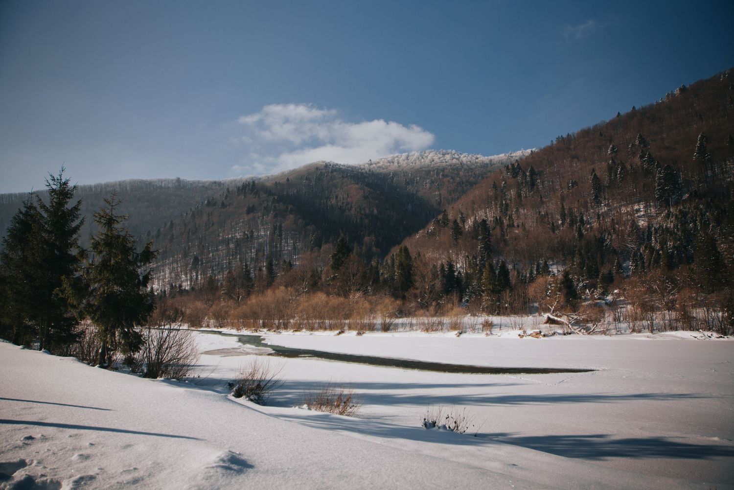 Snow-covered valley with frozen lake, dense pine forest, and mountain peak under blue sky in winter.