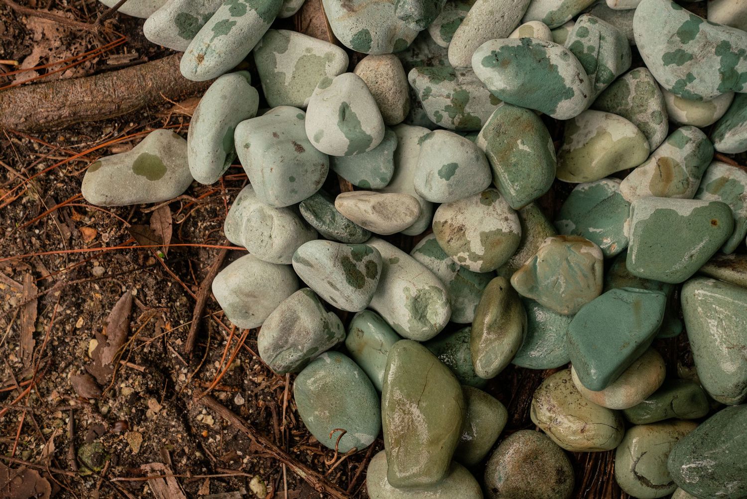 Pile of smooth green tumbled stones on dark soil with dried leaves and twigs nearby.