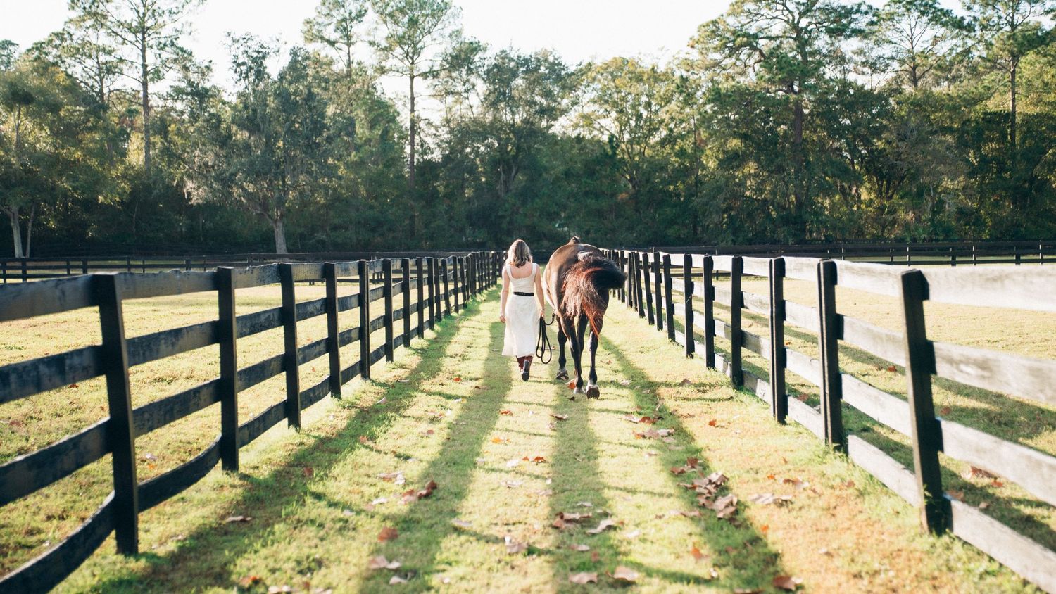 Two figures walk with a horse down a long fenced path lined with trees on a bright afternoon.