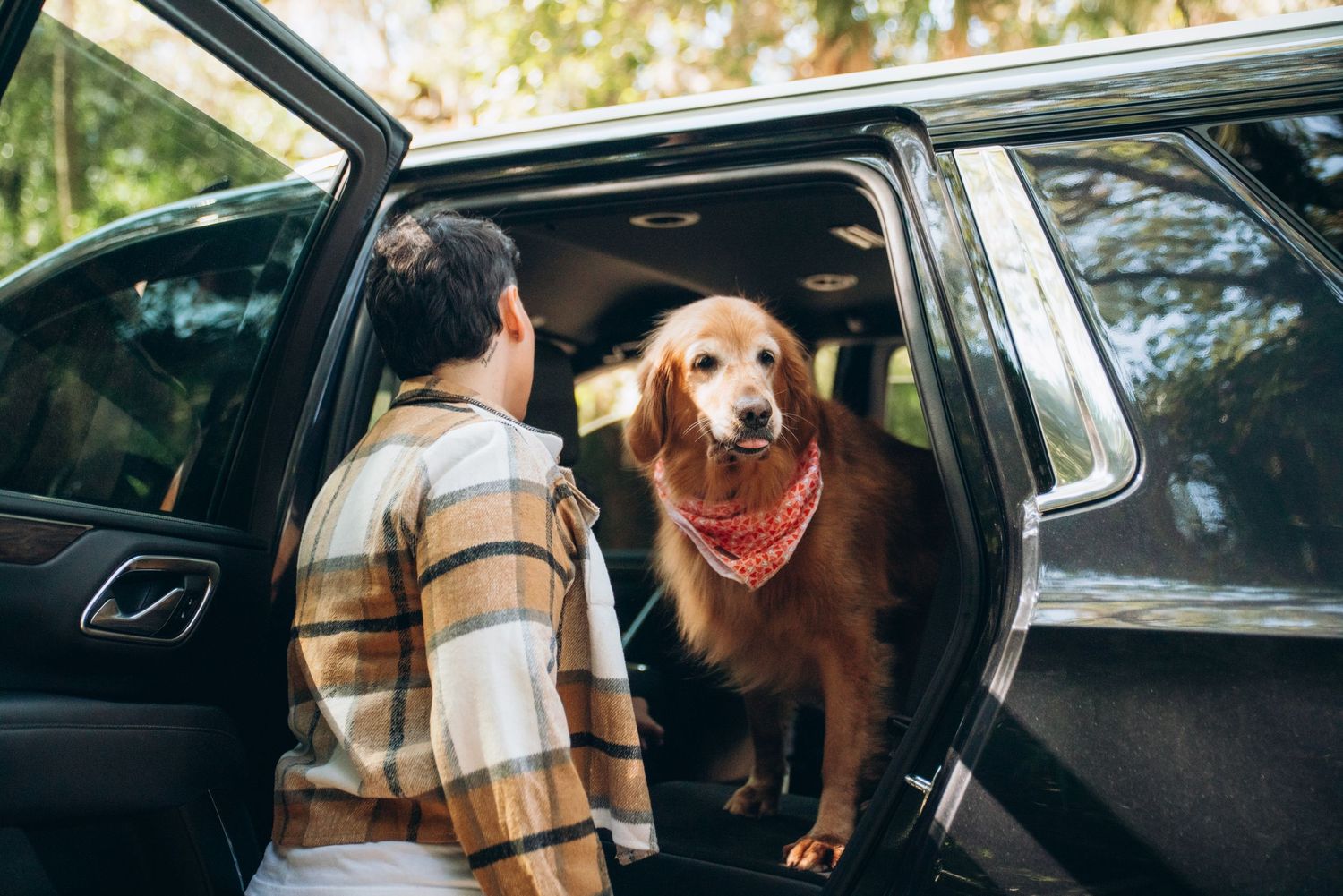 A golden retriever sits in the backseat of a car with its owners.