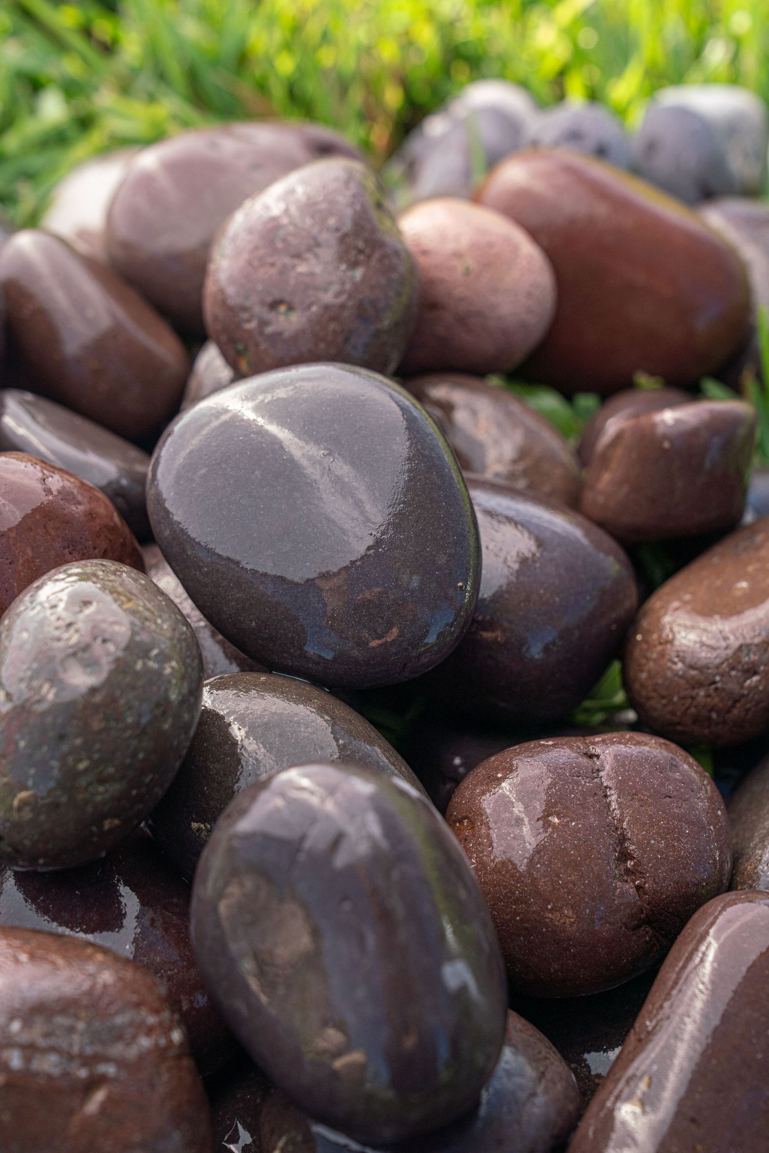 Pile of wet polished dark brown and black decorative river stones glistening in sunlight on grass.